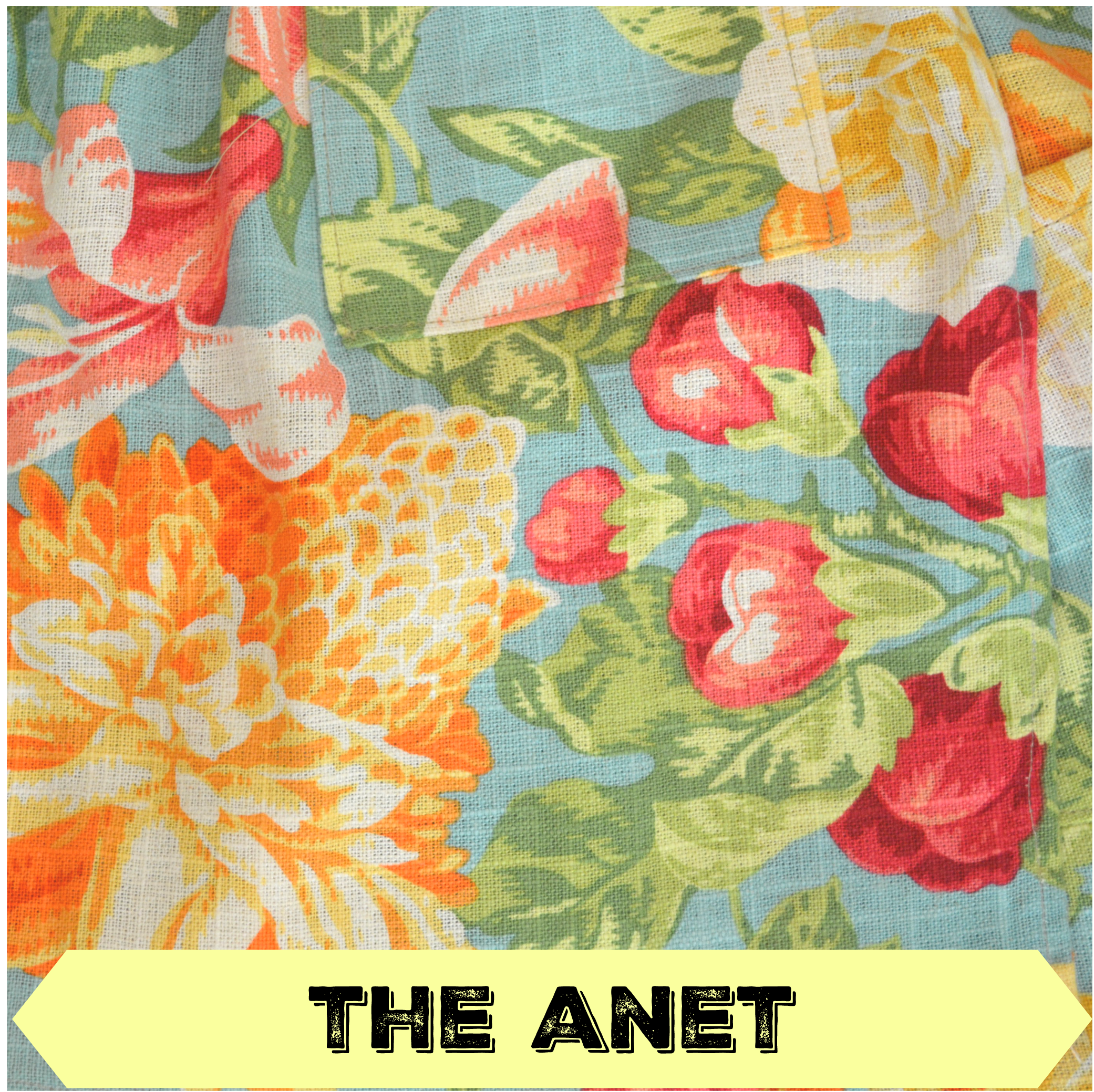 apron 14- Anet.png