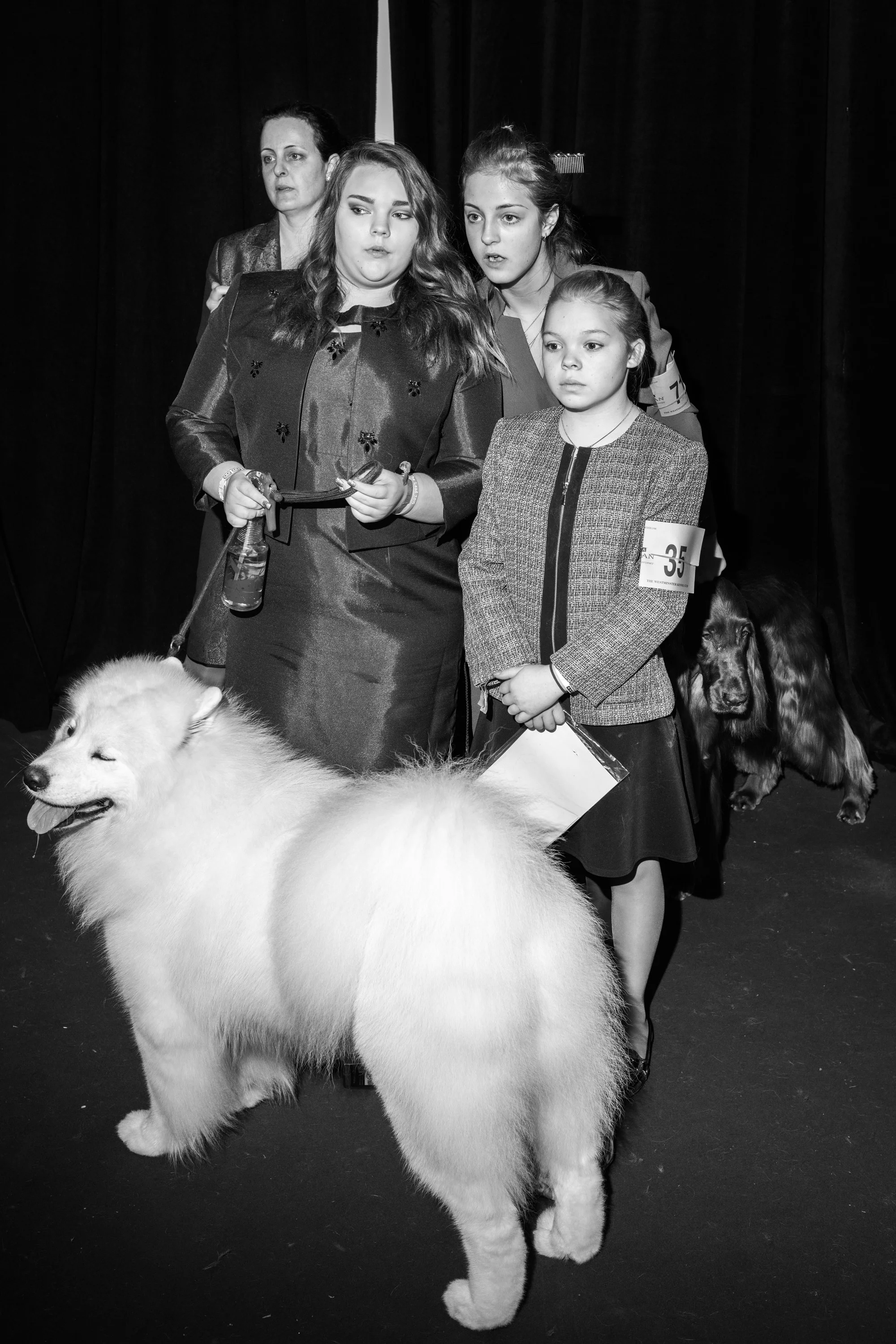 © Jonno Rattman/Esto