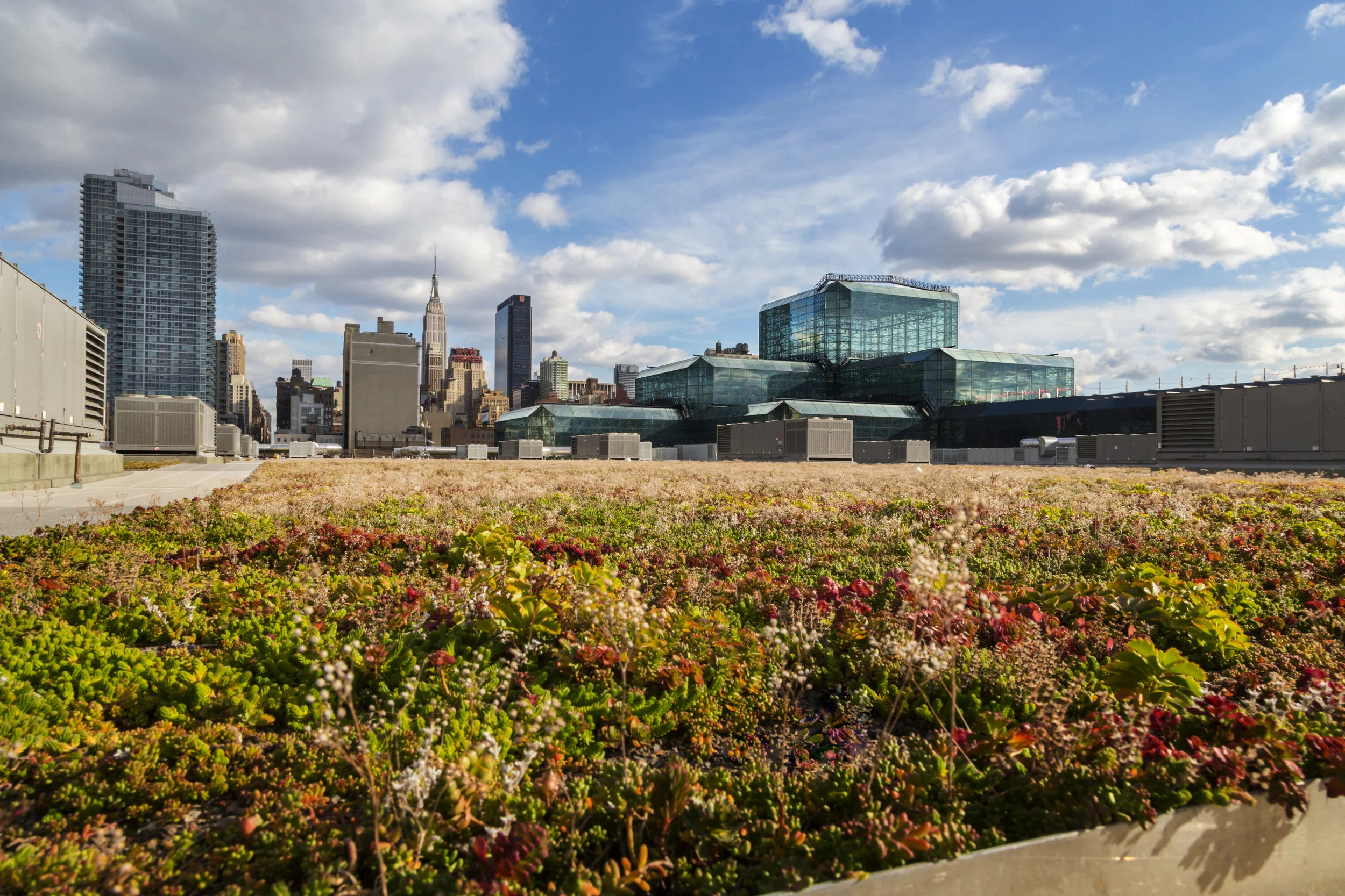 Sundberg’s photographs of the Javits Center Renovation featured in FXFOWLE’s “Follow the Water”