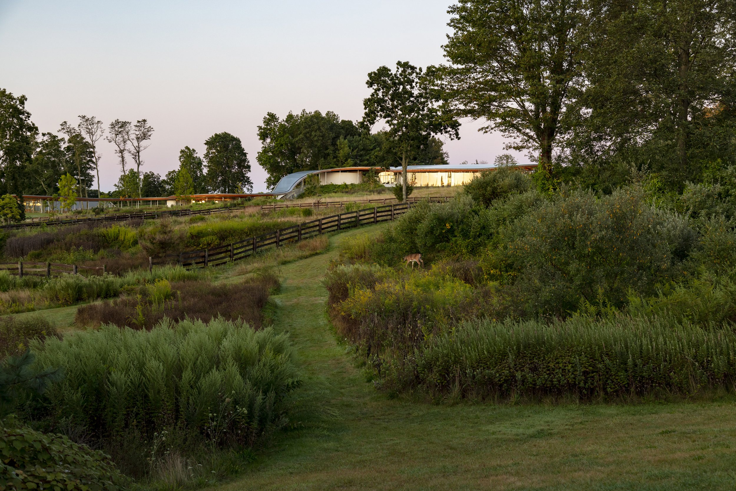  Grace Farms Foundation, Location: New Canaan CT, Landscape Architect: OLIN 