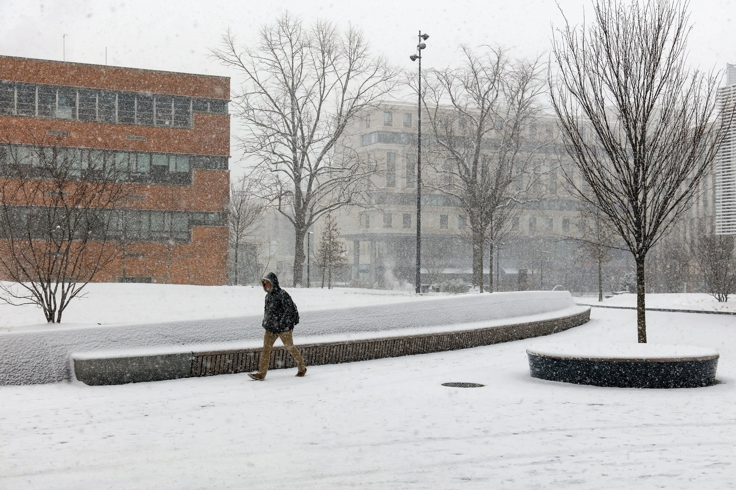  Korman Quad, Location: Philadelphia PA, Landscape Architect: Andropogon 
