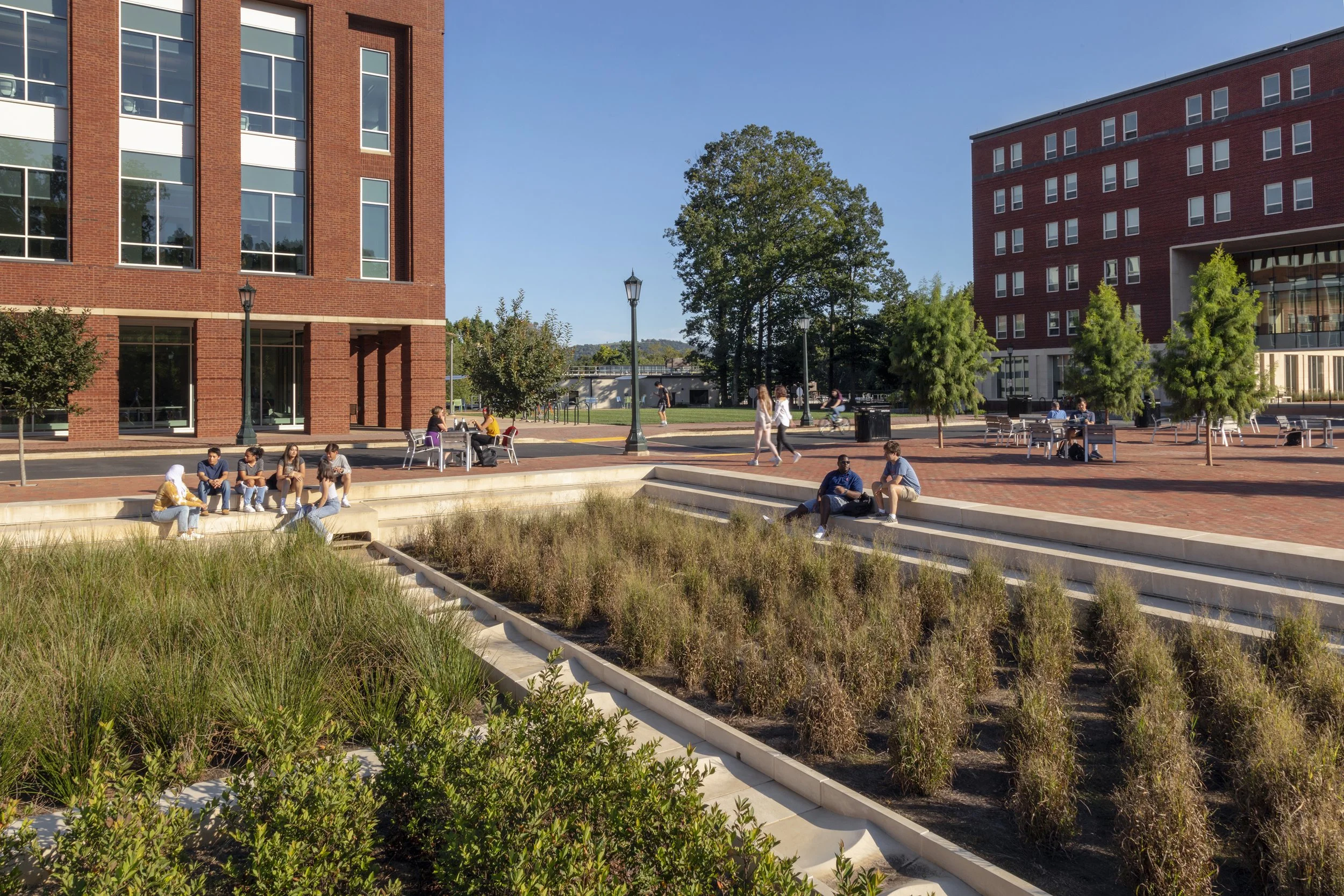  Brandon Ave at The University of Virginia, Location: Charlottesville VA, Landscape Architect: Perkins & Will 