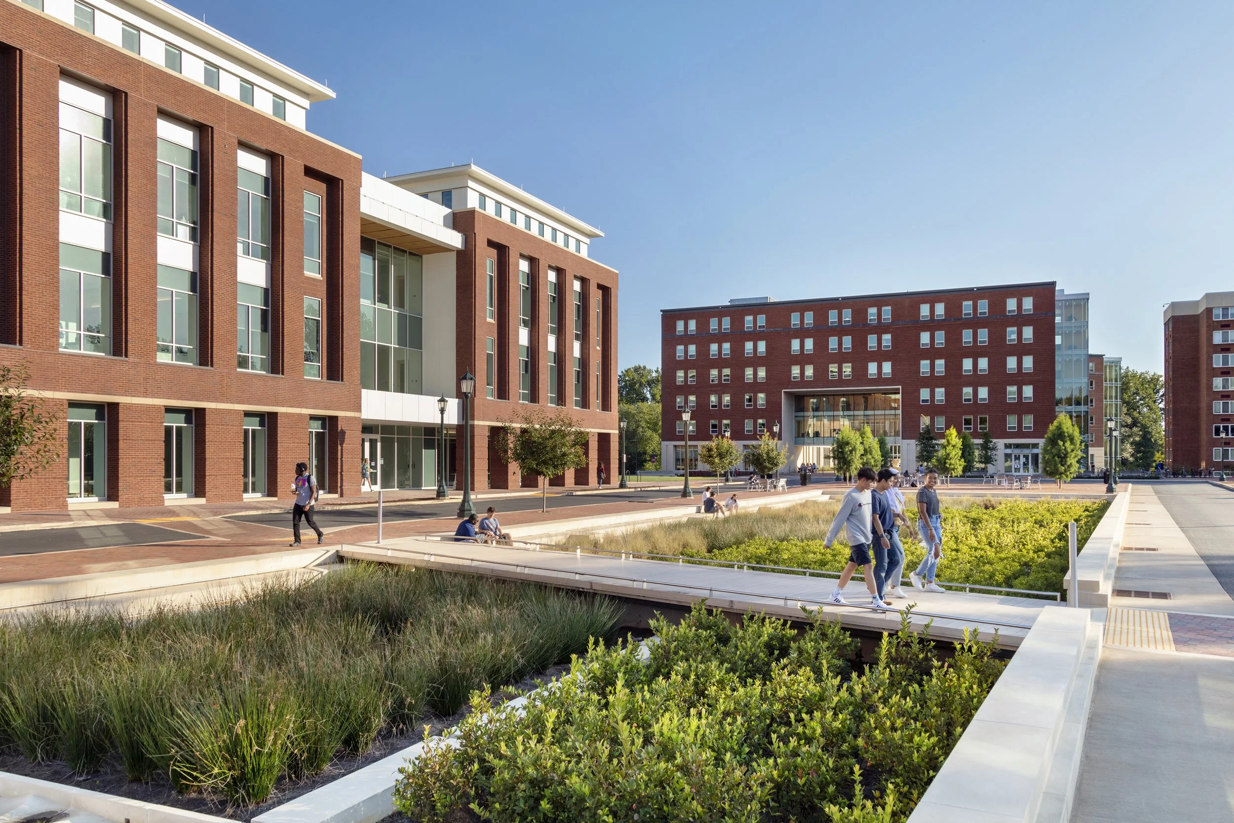  Brandon Ave at The University of Virginia, Location: Charlottesville VA, Landscape Architect: Perkins & Will 