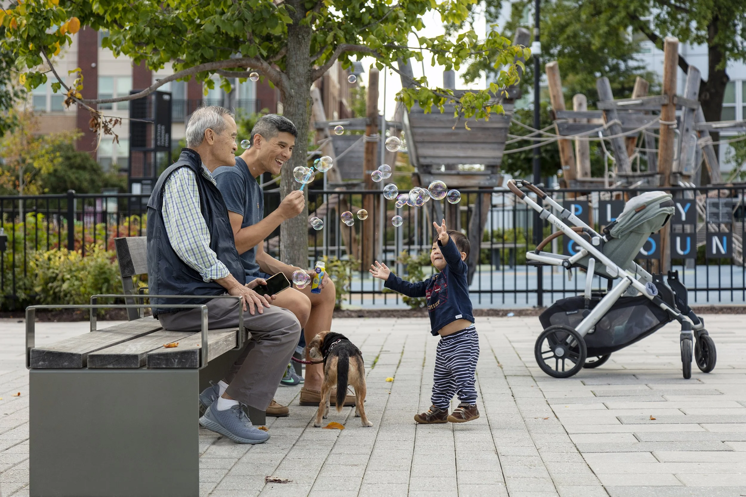 Alethia Tanner Park, Location: Washington D.C., Landscape Architect: Nelson Byrd Woltz Landscape Architects 