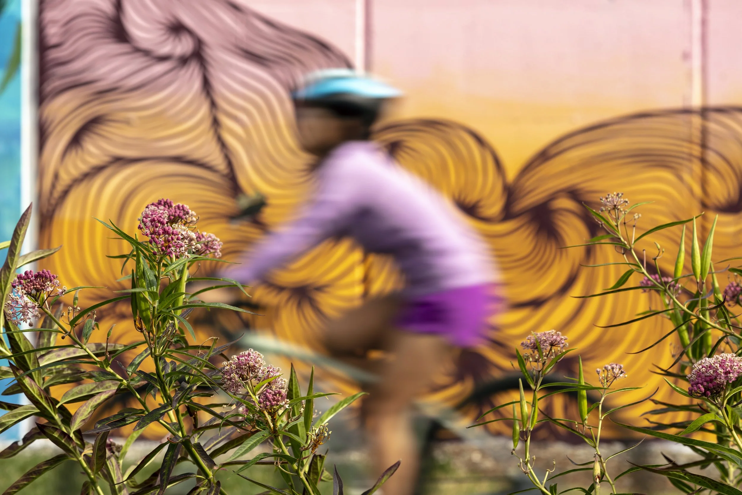  Alethia Tanner Park, Location: Washington D.C., Landscape Architect: Nelson Byrd Woltz Landscape Architects 
