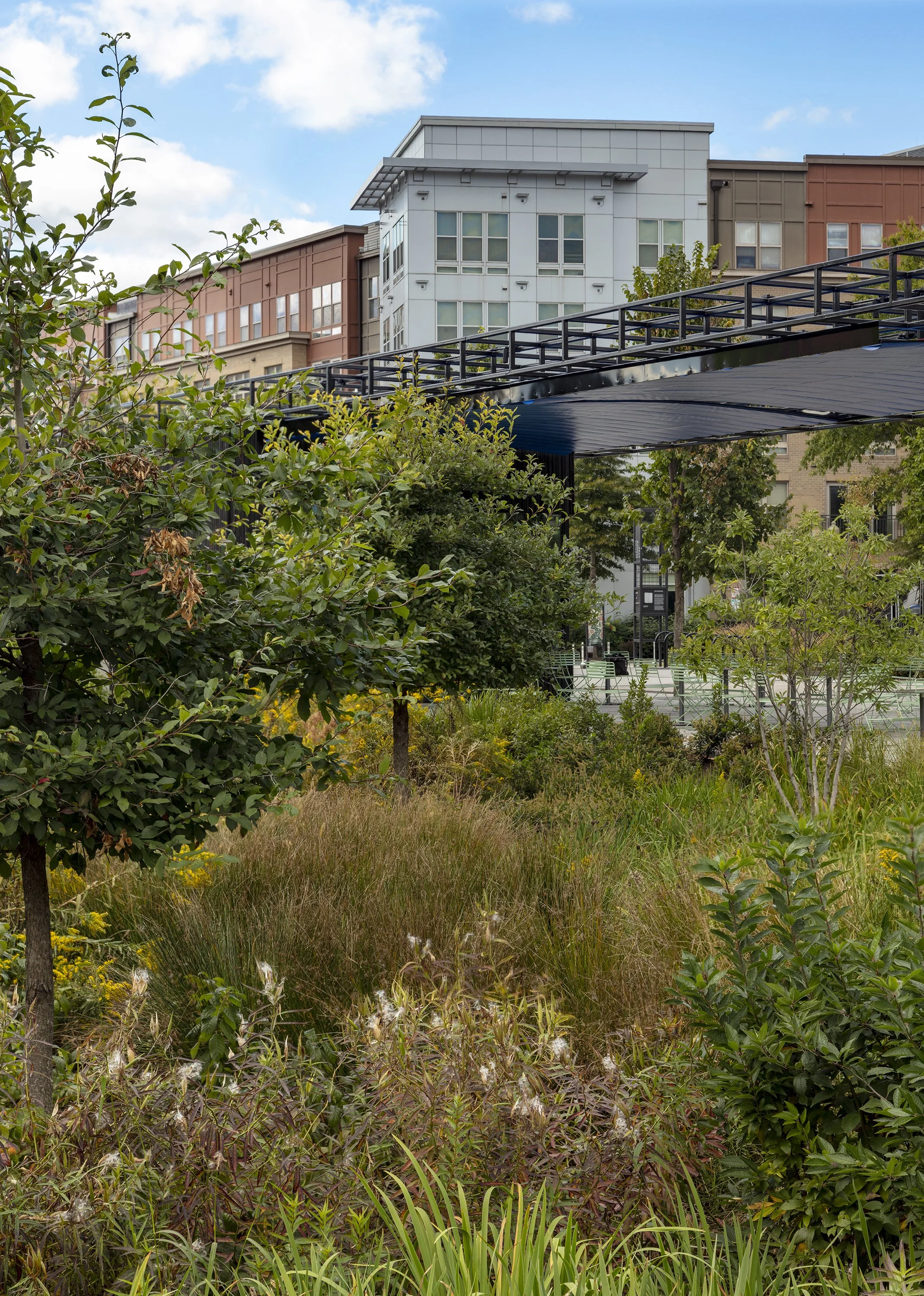  Alethia Tanner Park, Location: Washington D.C., Landscape Architect: Nelson Byrd Woltz Landscape Architects 
