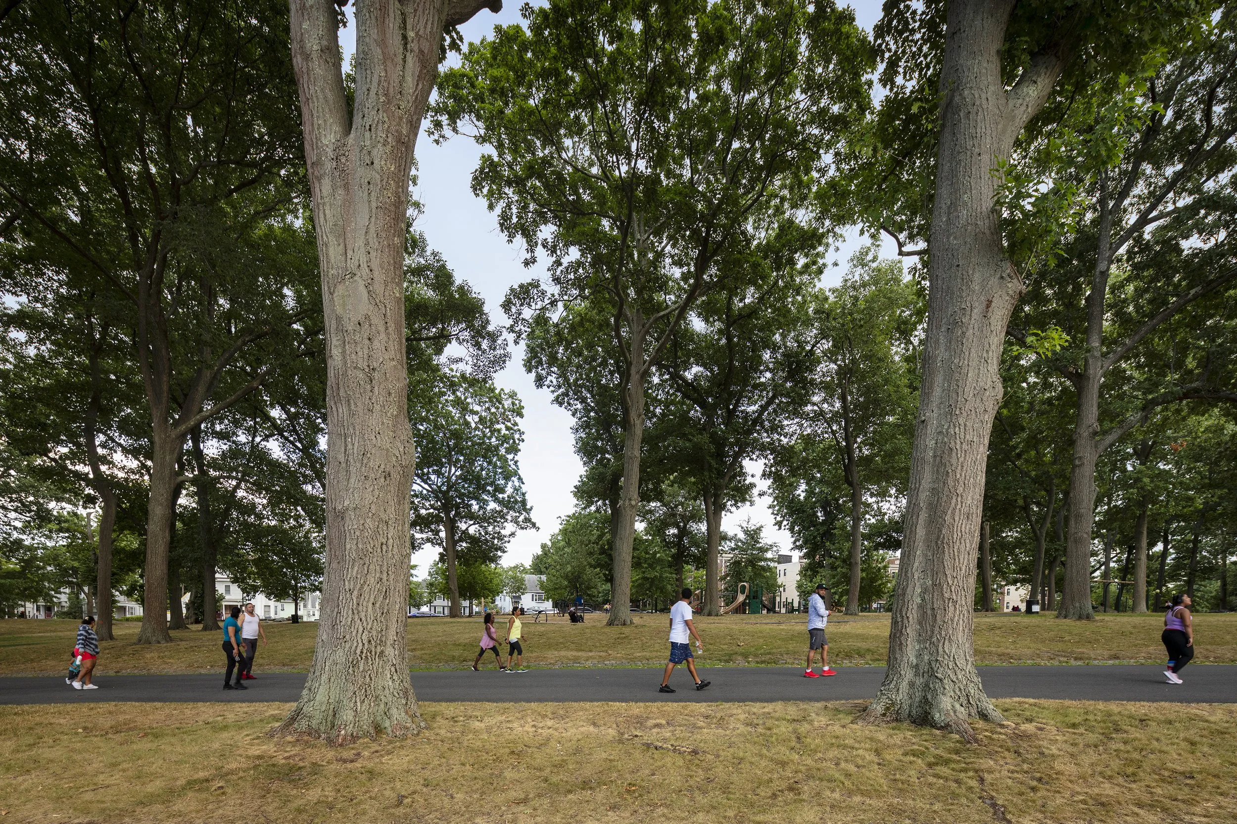  Franklin Park, Location: Boston MA, Landscape Architect: Reed Hilderbrand 