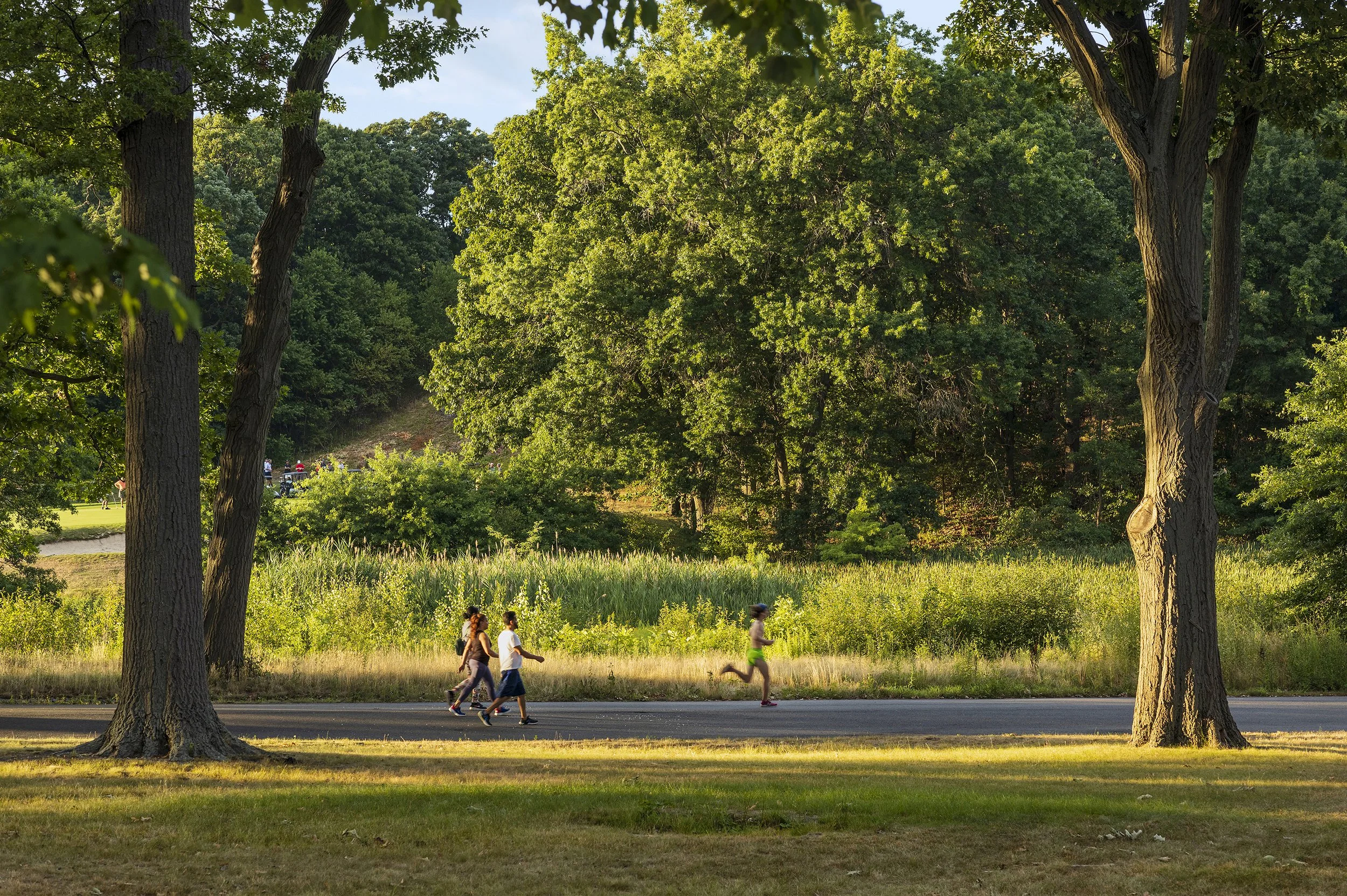 Franklin Park, Location: Boston MA, Landscape Architect: Reed Hilderbrand