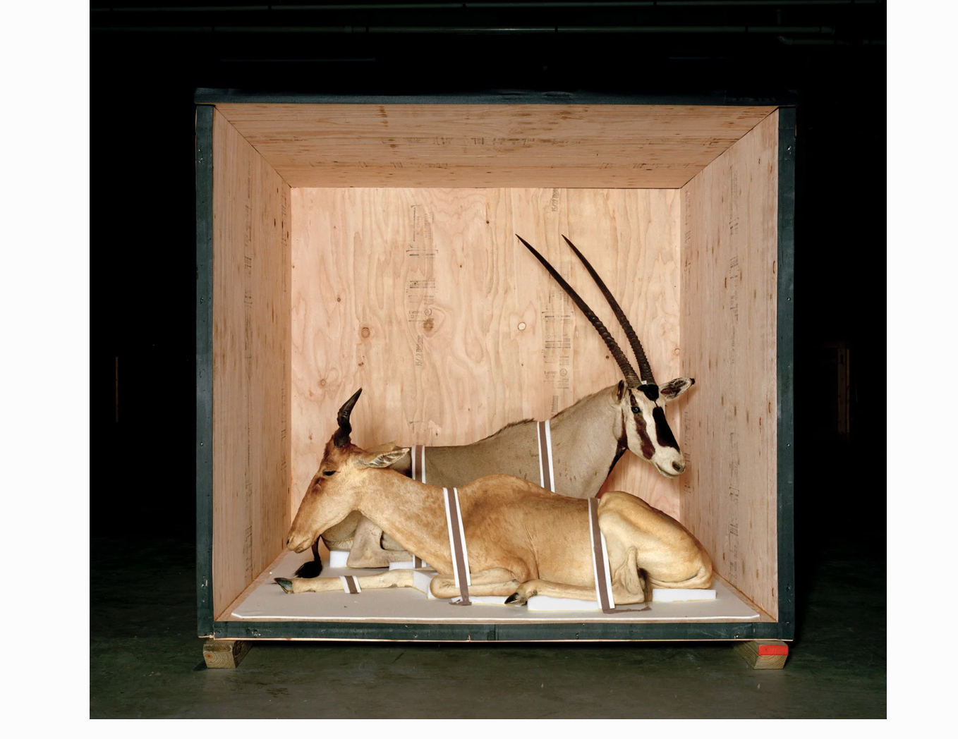 02Screenshot 2026-01-27 at 3.23.54 PM.png