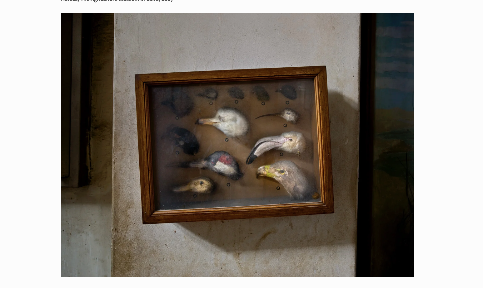 04Screenshot 2026-01-27 at 3.31.48 PM.png