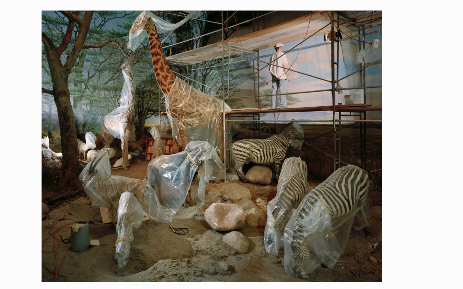 06Screenshot 2026-01-27 at 3.14.12 PM.png