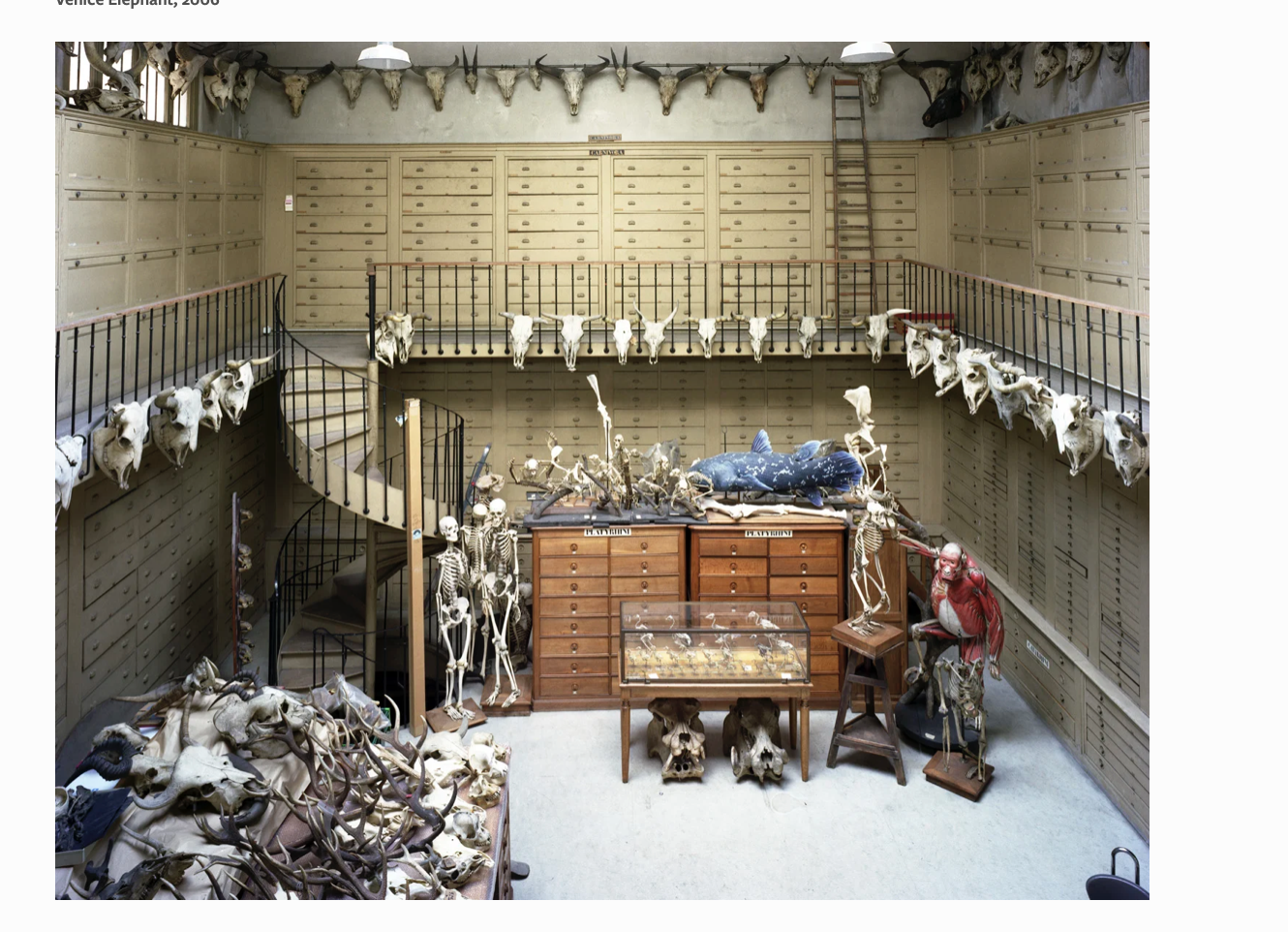 09Screenshot 2026-01-27 at 3.25.06 PM.png