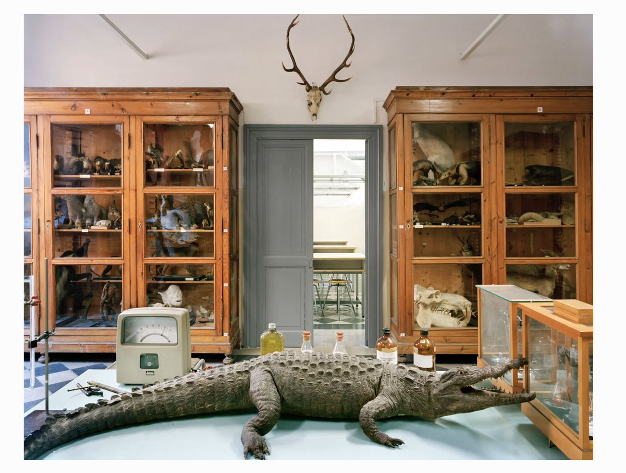 10Screenshot 2026-01-27 at 3.24.08 PM.png