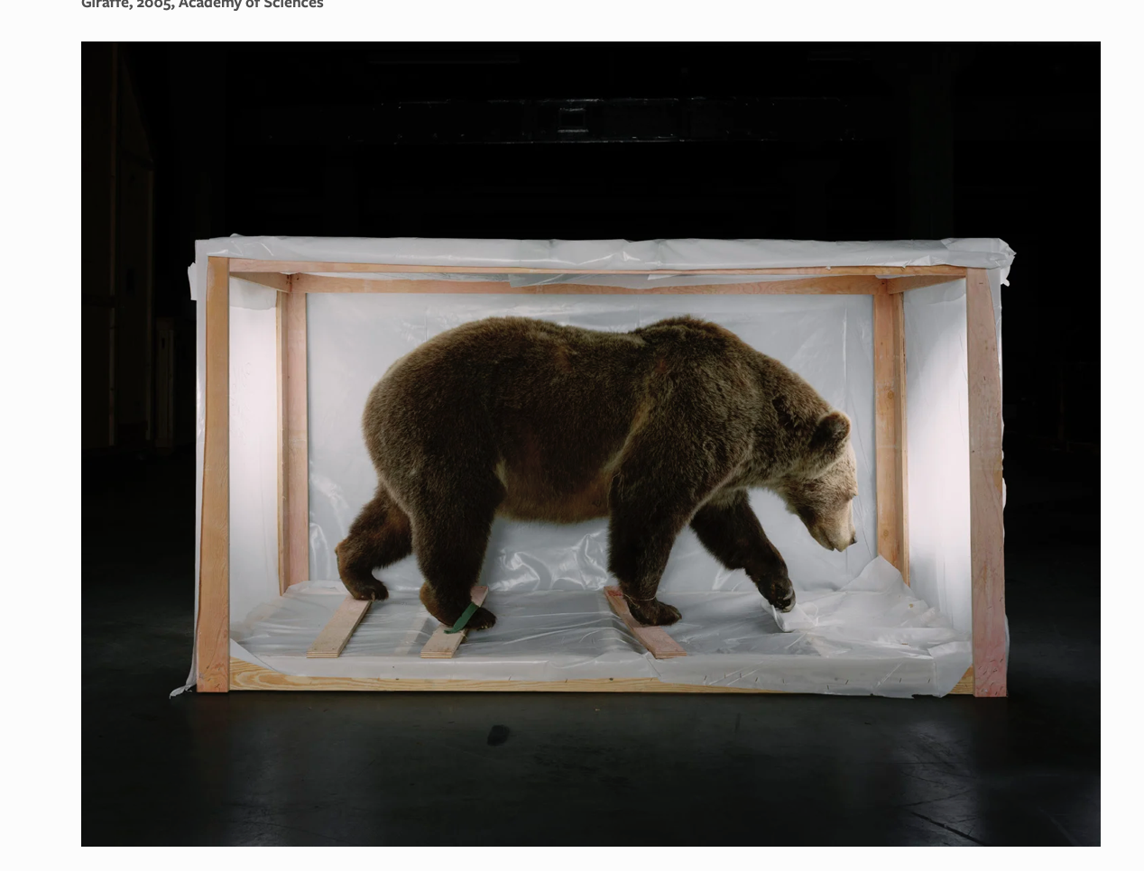 12Screenshot 2026-01-27 at 3.22.01 PM.png