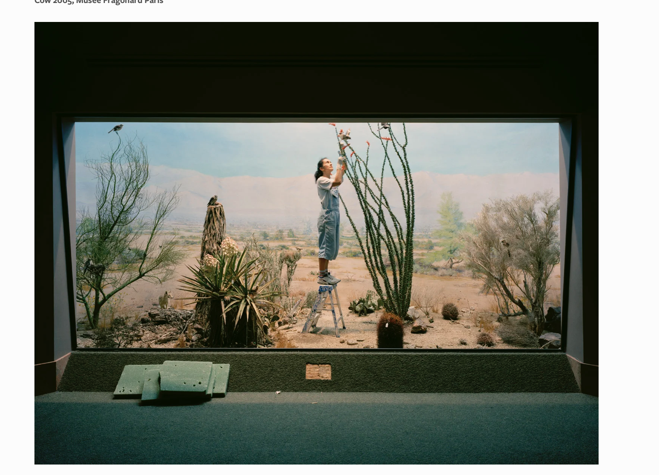 11Screenshot 2026-01-27 at 3.49.39 PM.png