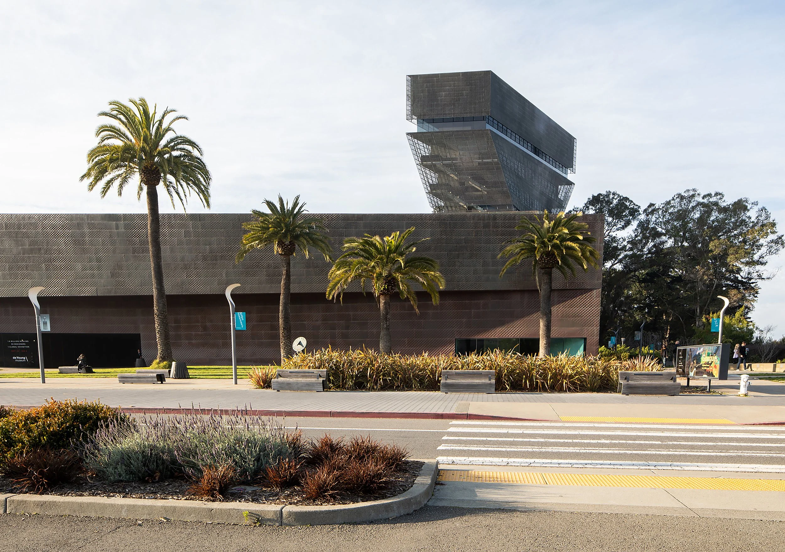 IMG_0573_AMorgowicz copy.jpg