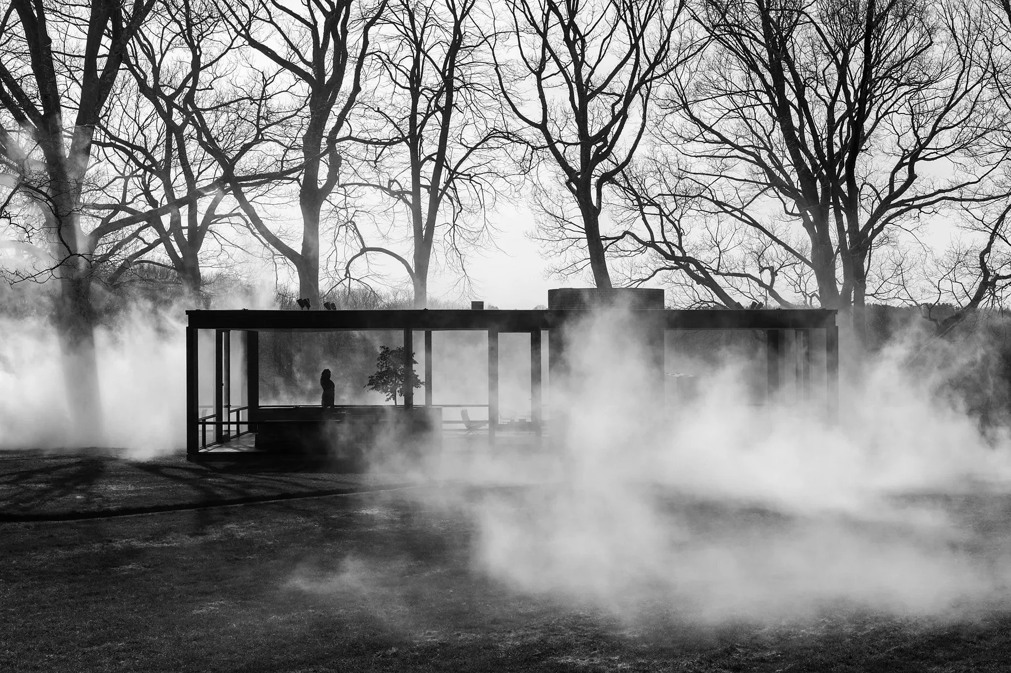 GlassHouse_Fog_080_Web.jpg