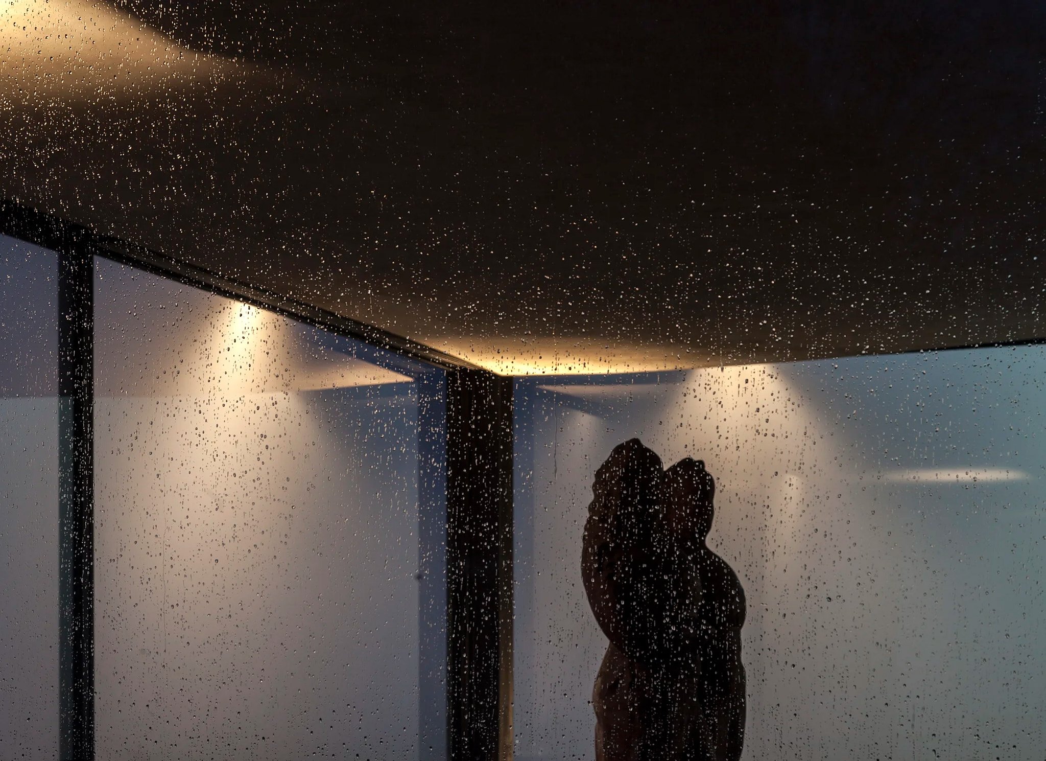 RB-GLASS HOUSE-22.jpg