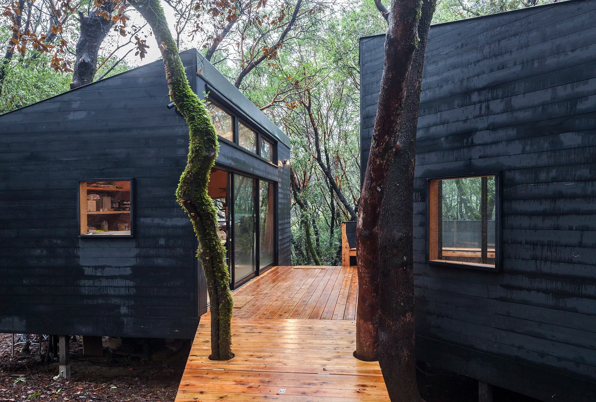RB-FOREST HOUSE-02.jpg