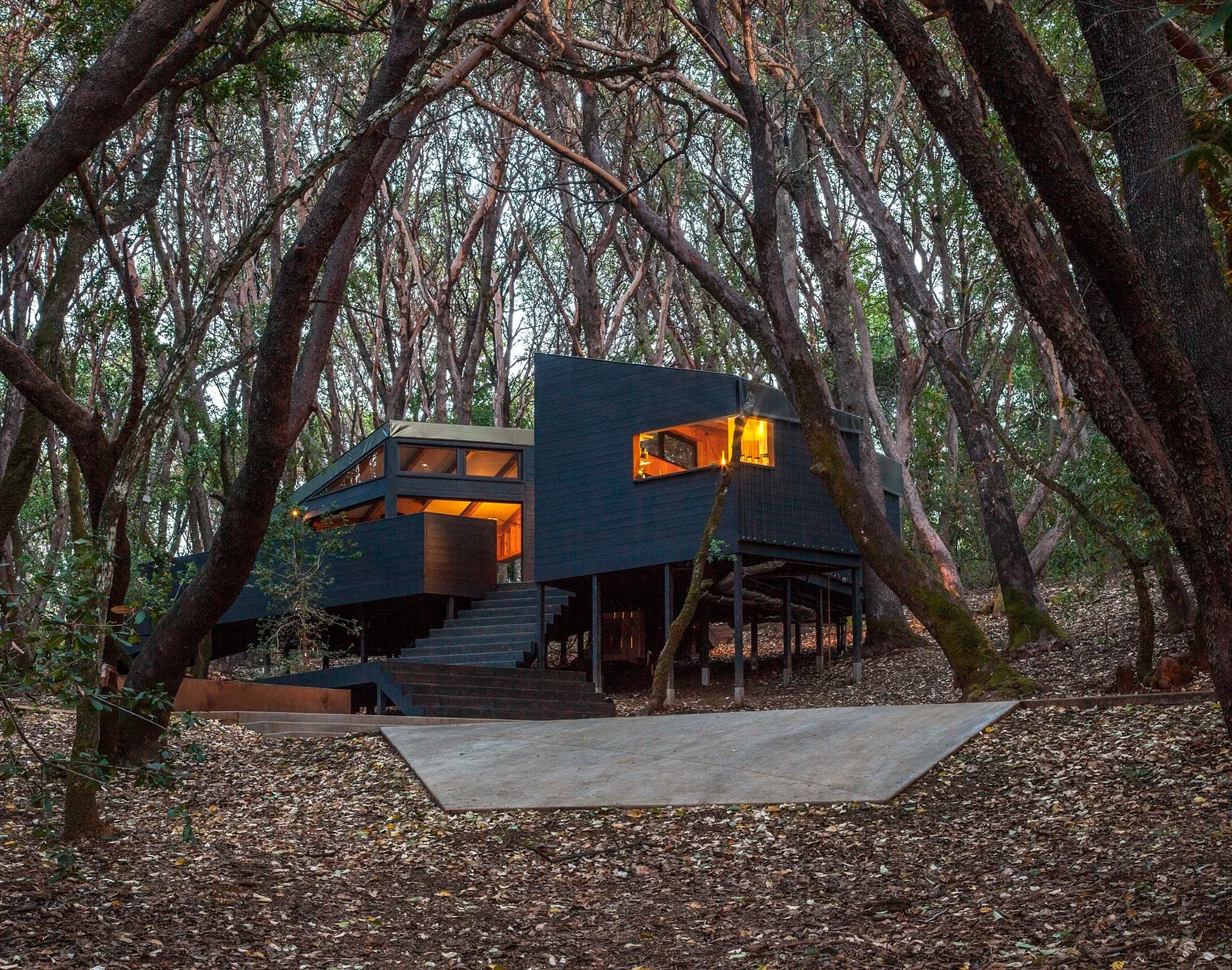 RB-FOREST HOUSE-01.jpg