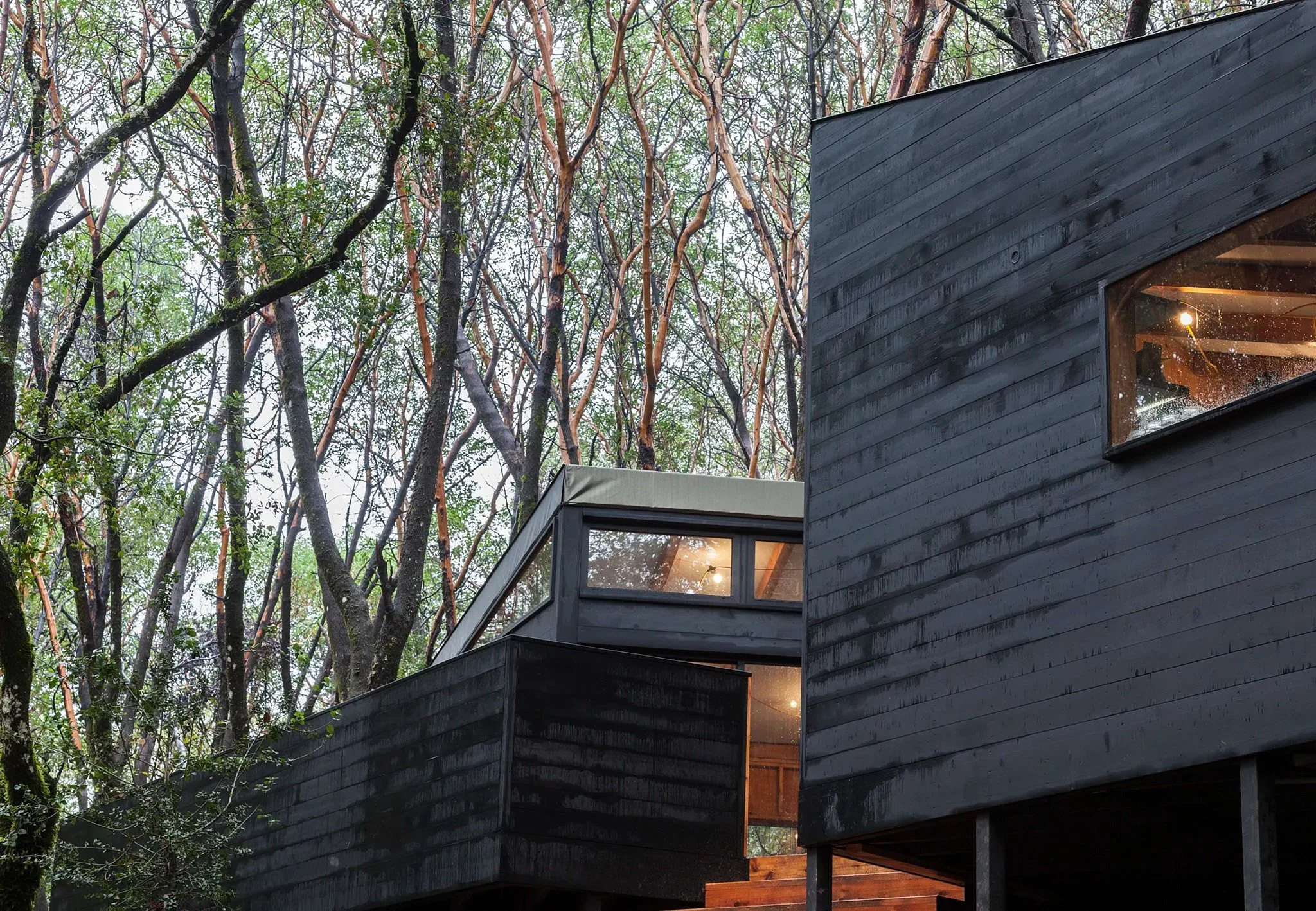 RB-FOREST HOUSE-03.jpg