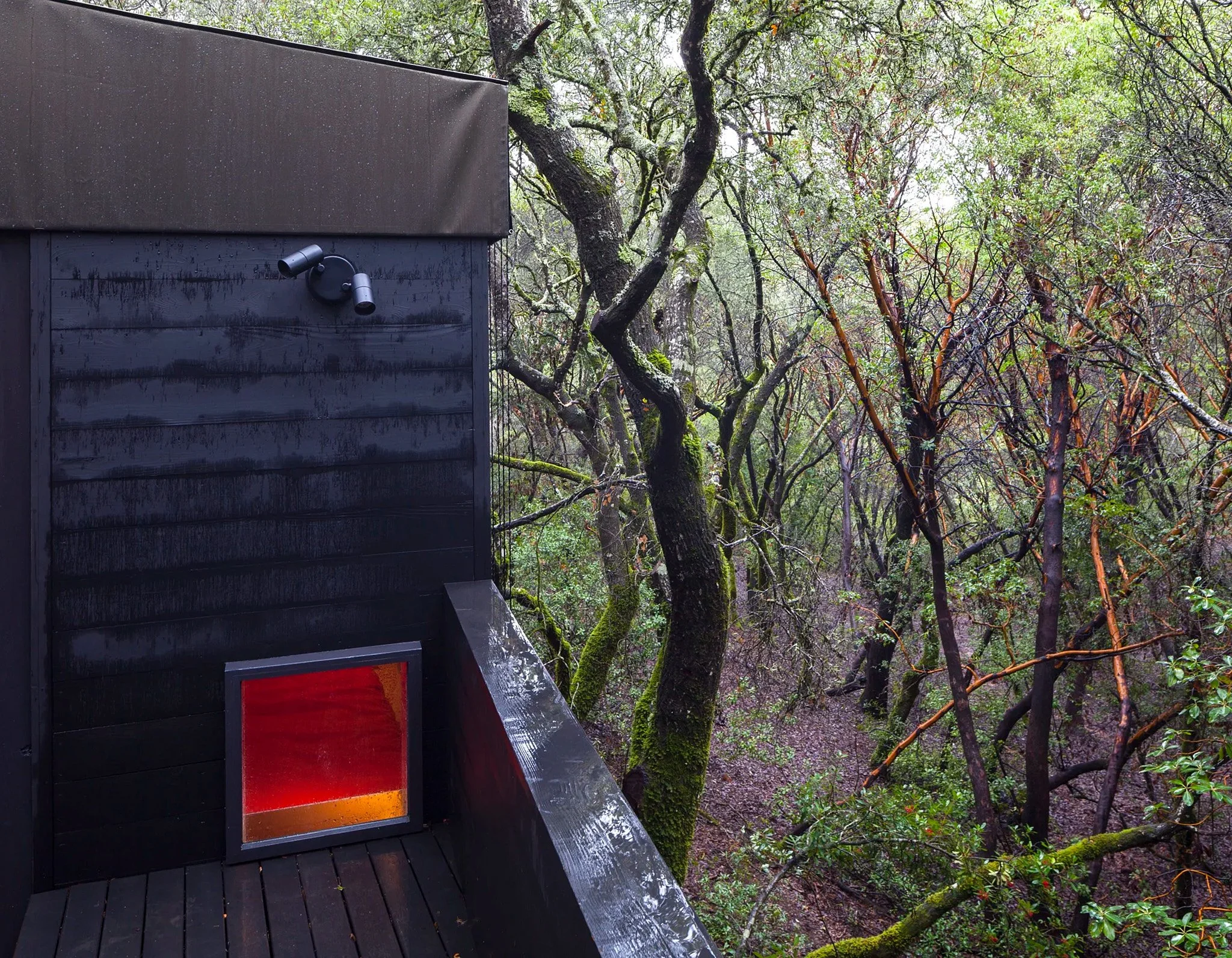 RB-FOREST HOUSE-04.jpg