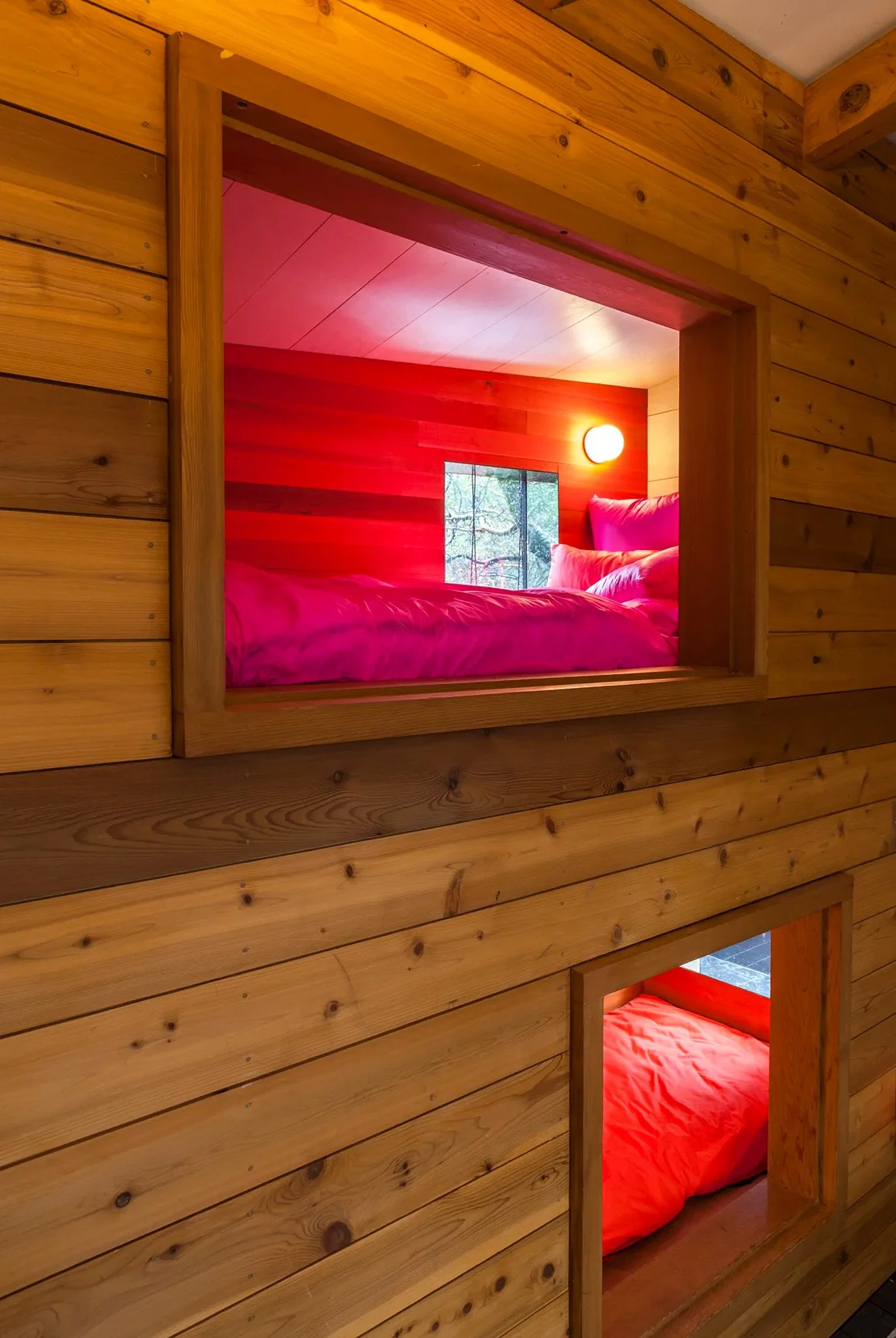 RB-FOREST HOUSE-06.jpg