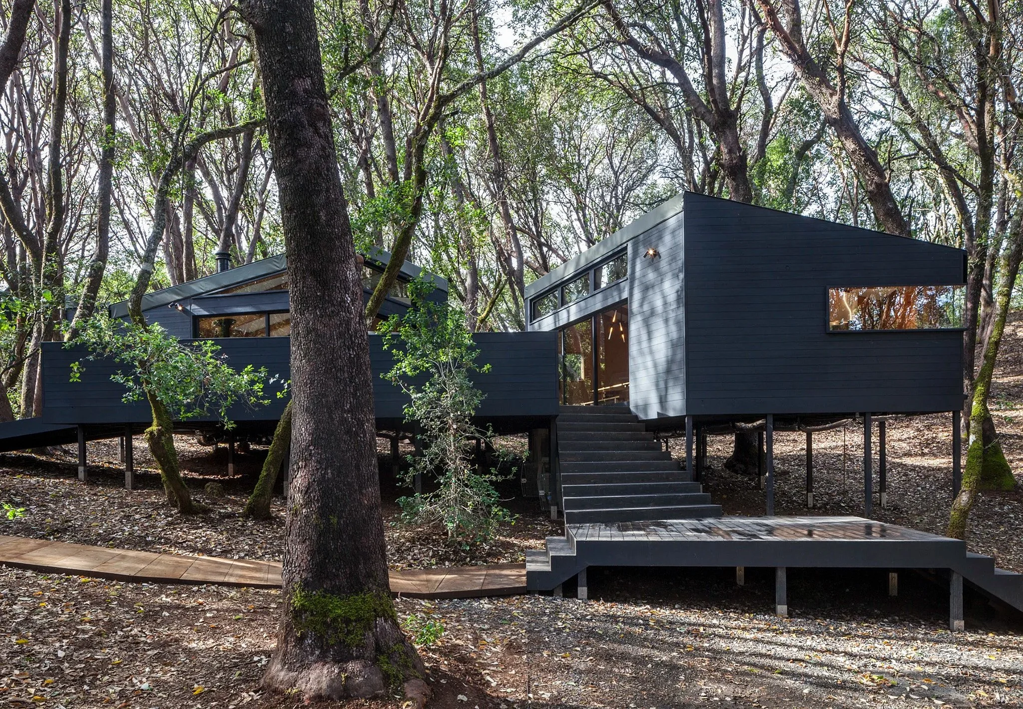RB-FOREST HOUSE-08.jpg