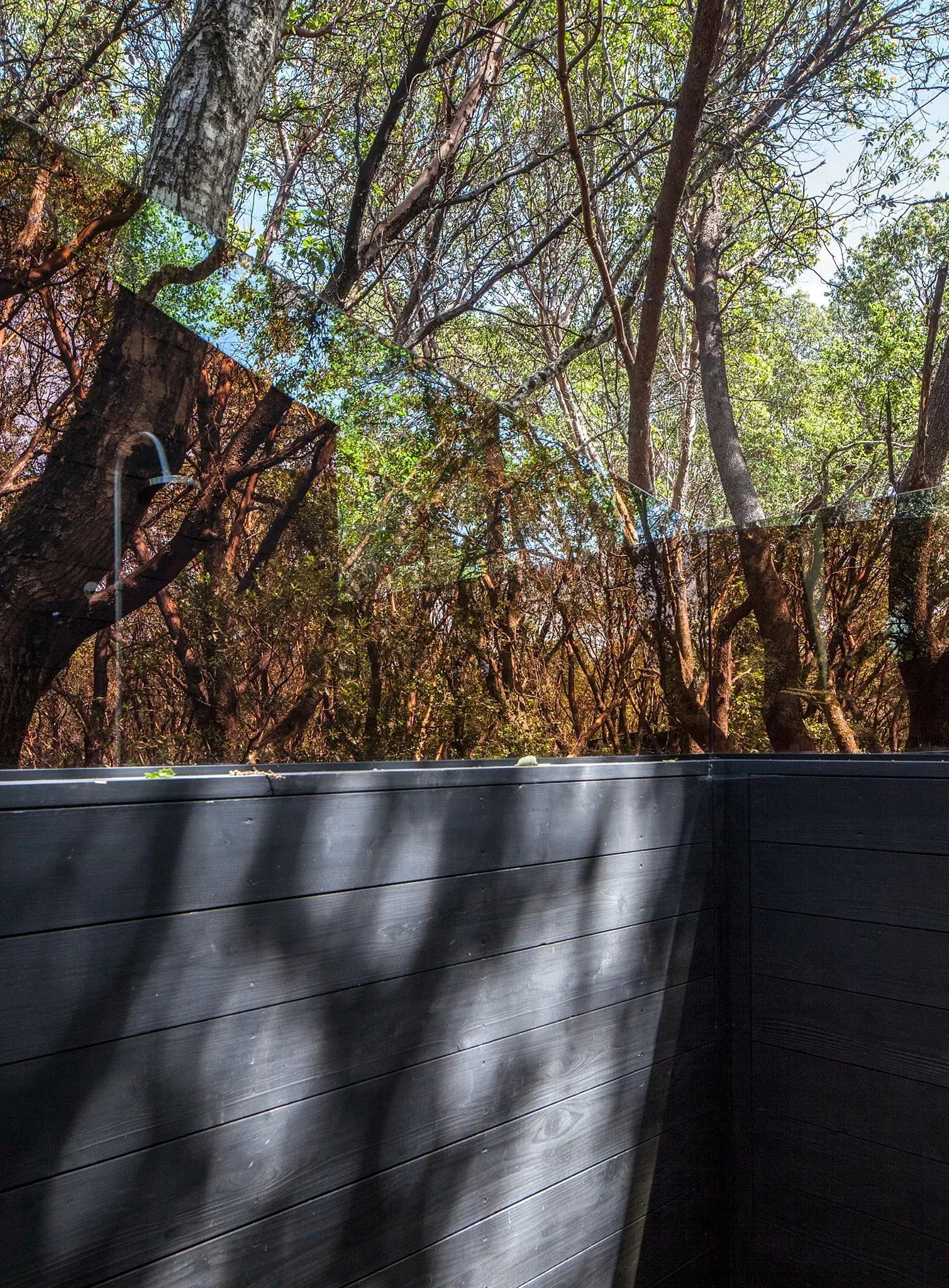 RB-FOREST HOUSE-12.jpg