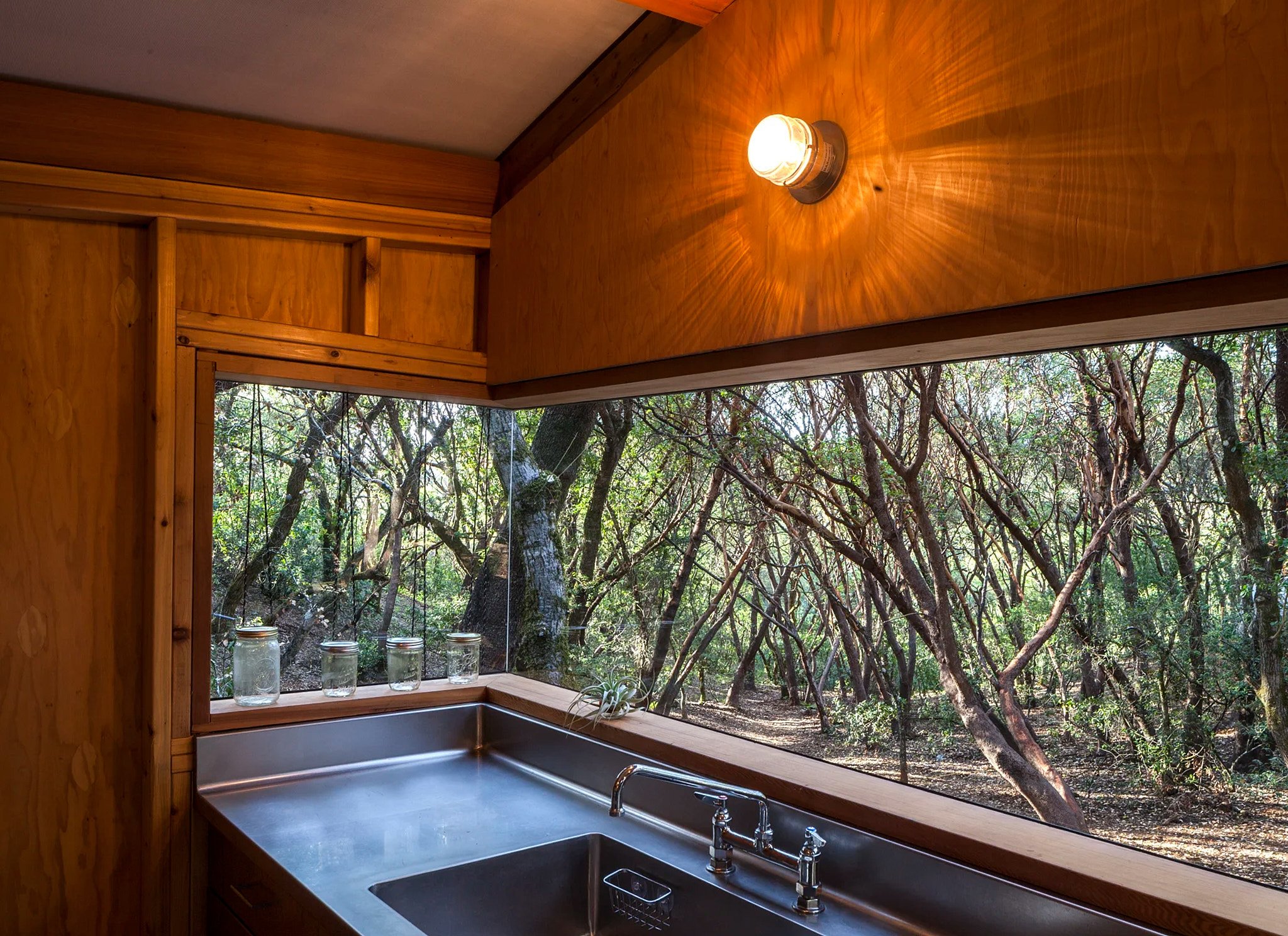 RB-FOREST HOUSE-14.jpg