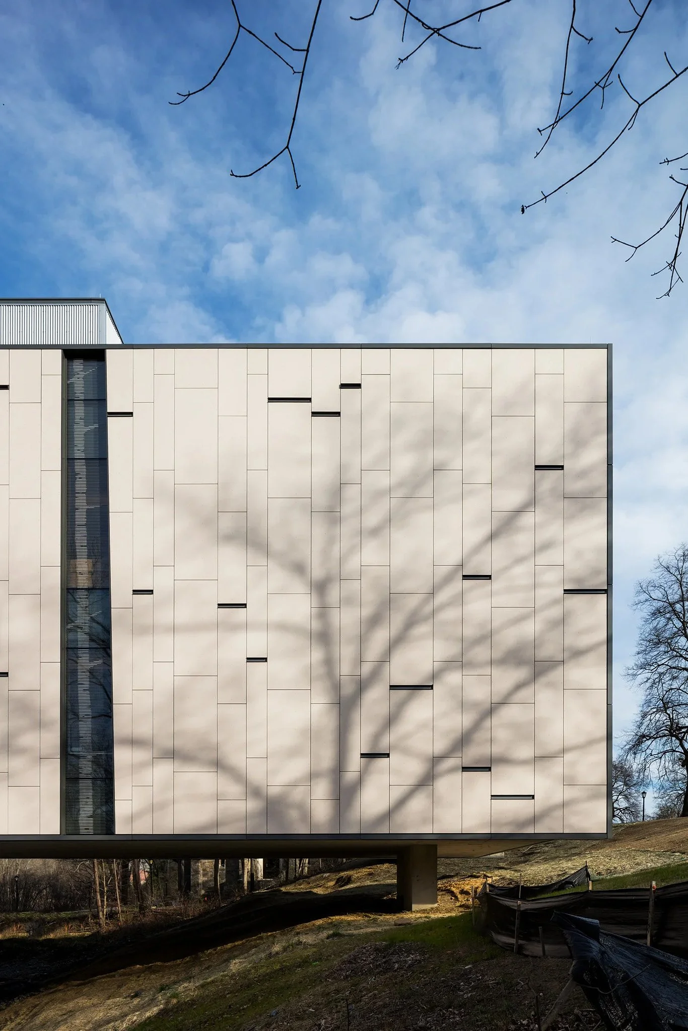 RB-VASSAR-02.jpg