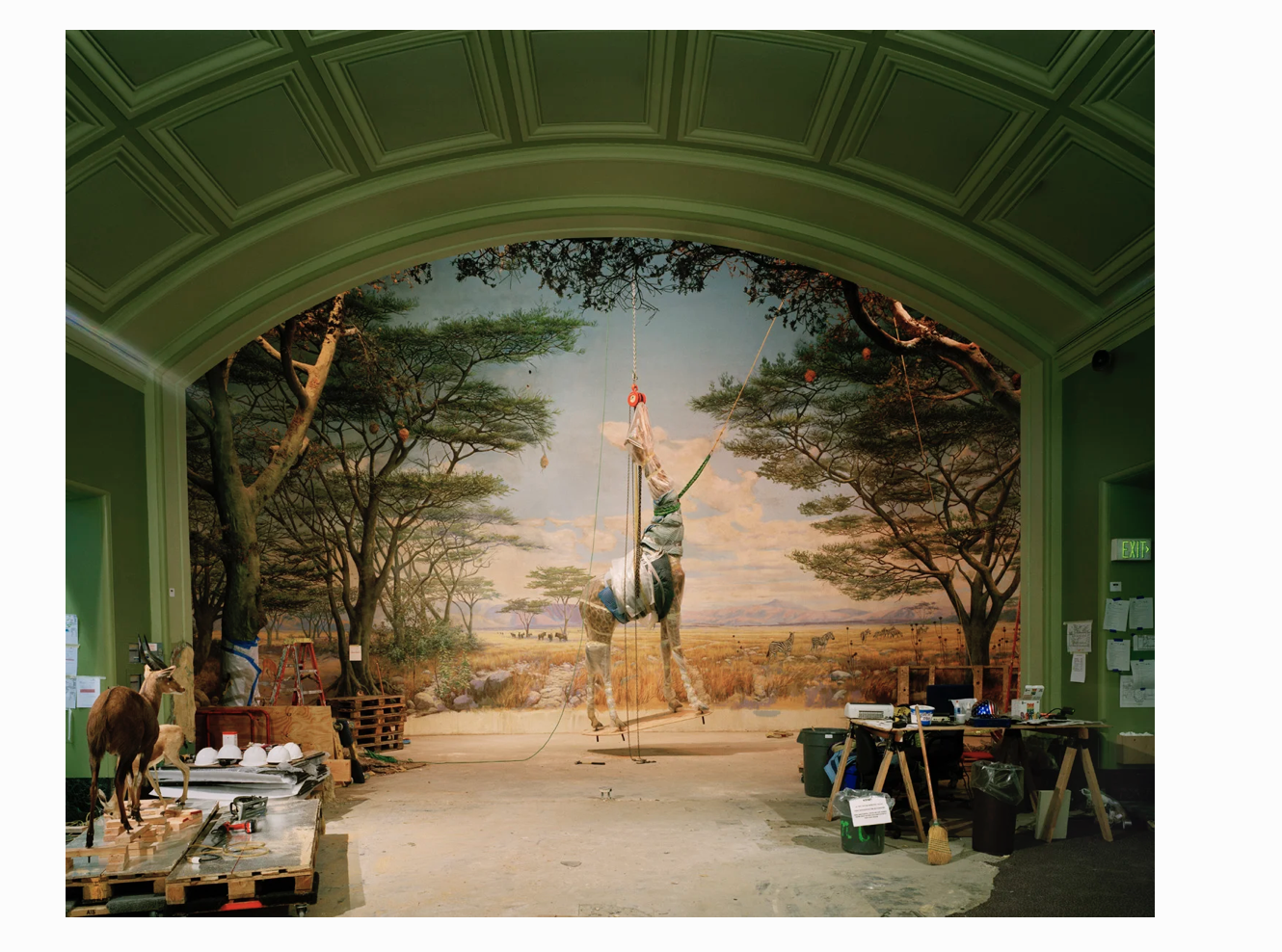 08Screenshot 2026-01-27 at 3.56.52 PM.png