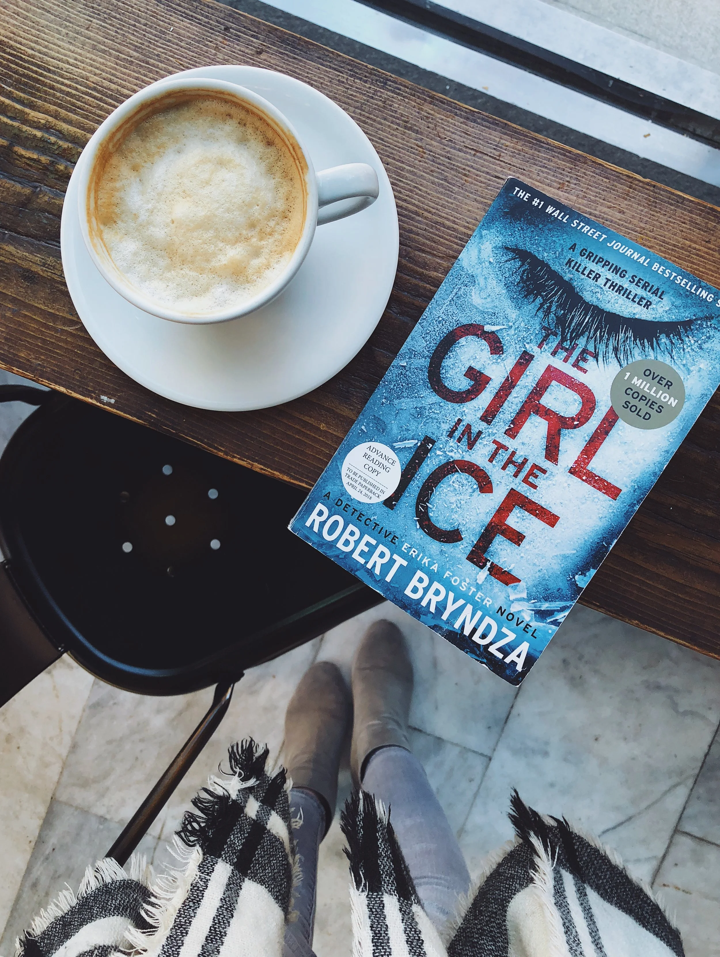 The Girl in the Ice.JPG