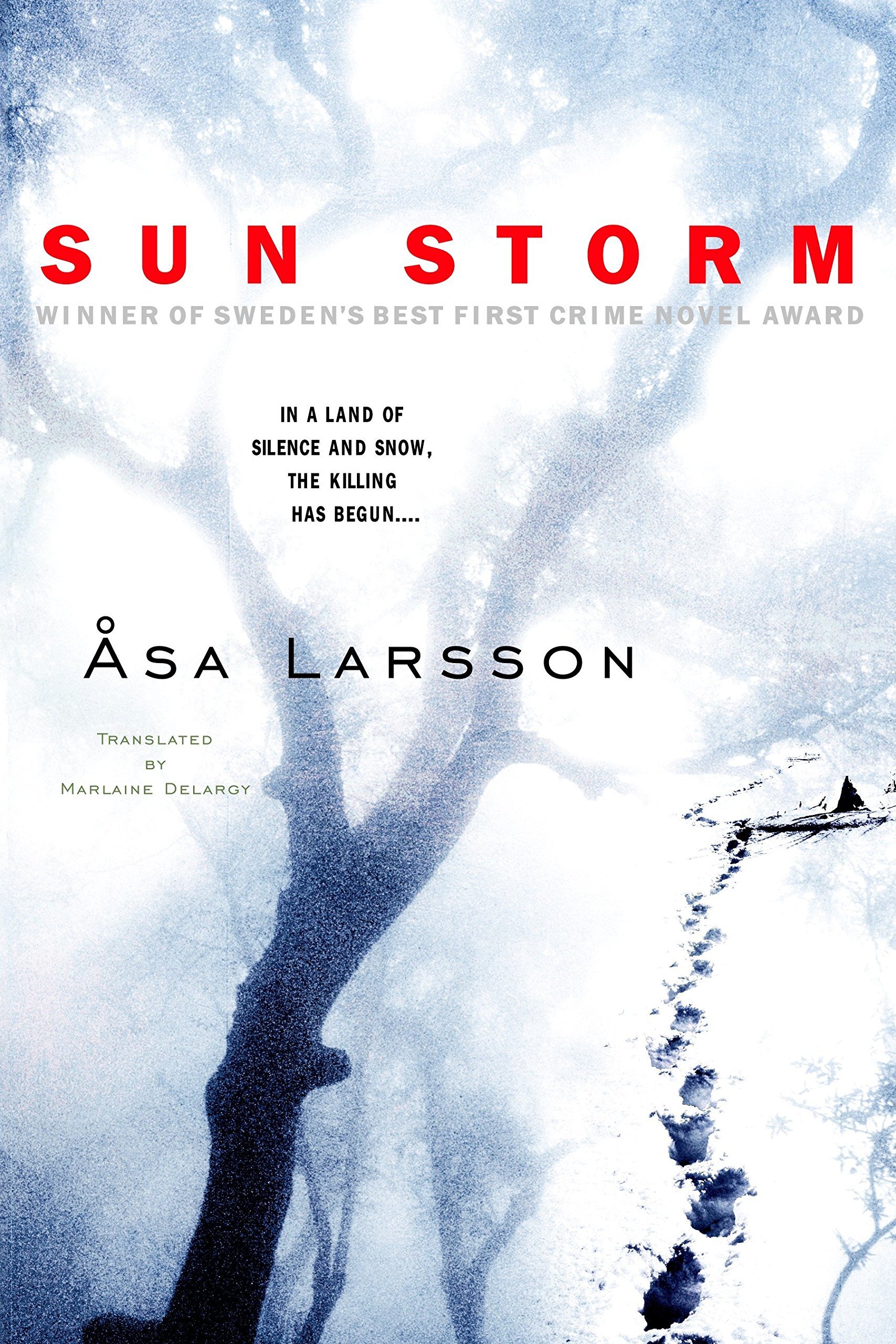 Sun Storm Asa Larsson.jpg
