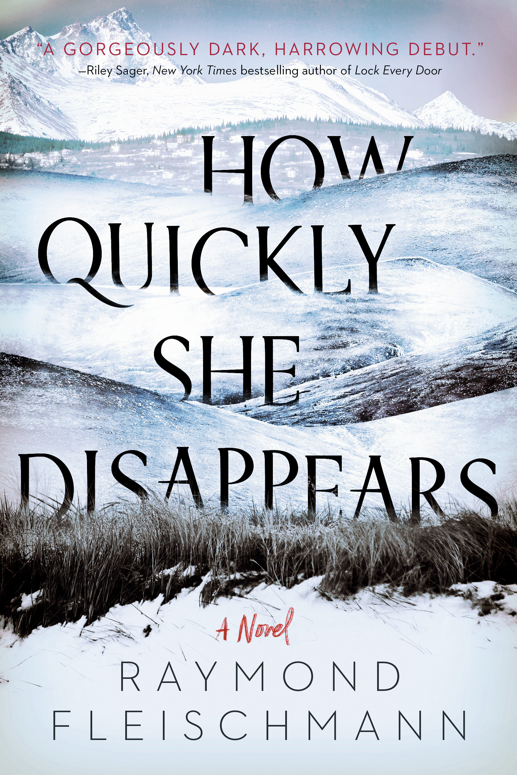 How Quickly She Disappears cover.jpg