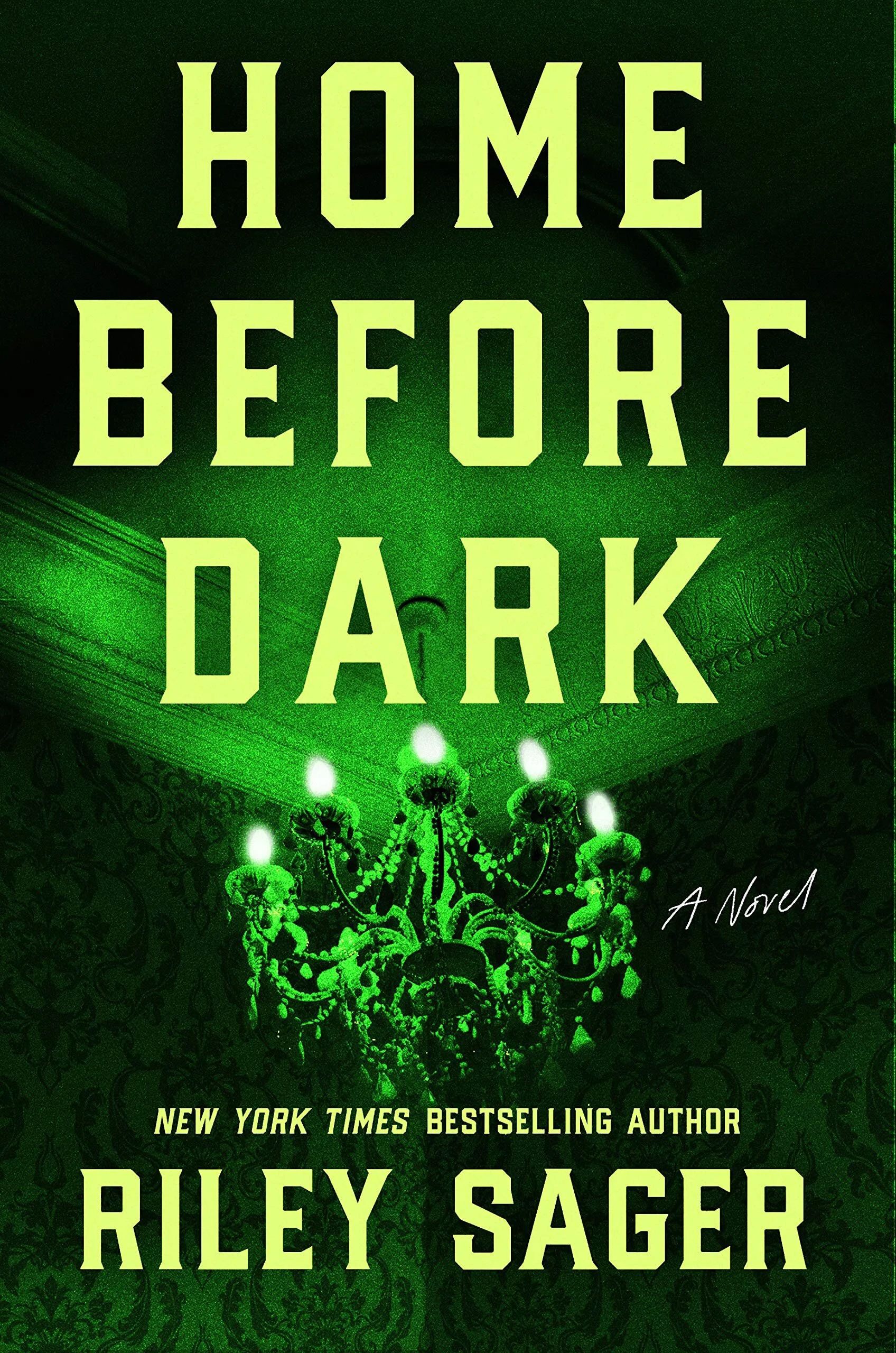 Home Before Dark cover.jpg