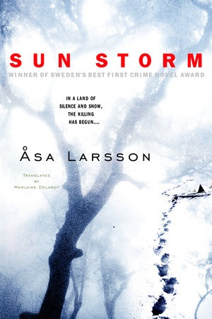 Sun Storm_Asa Larsson.png