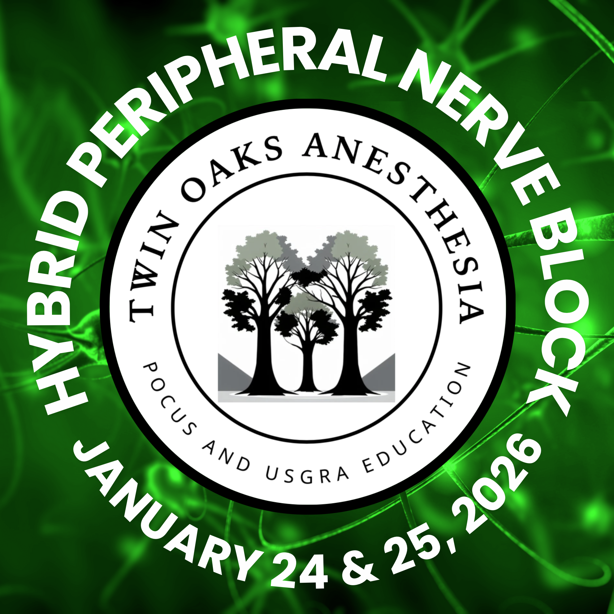 Screen Shot 2025-05-10 at 9.14.57 AM.png