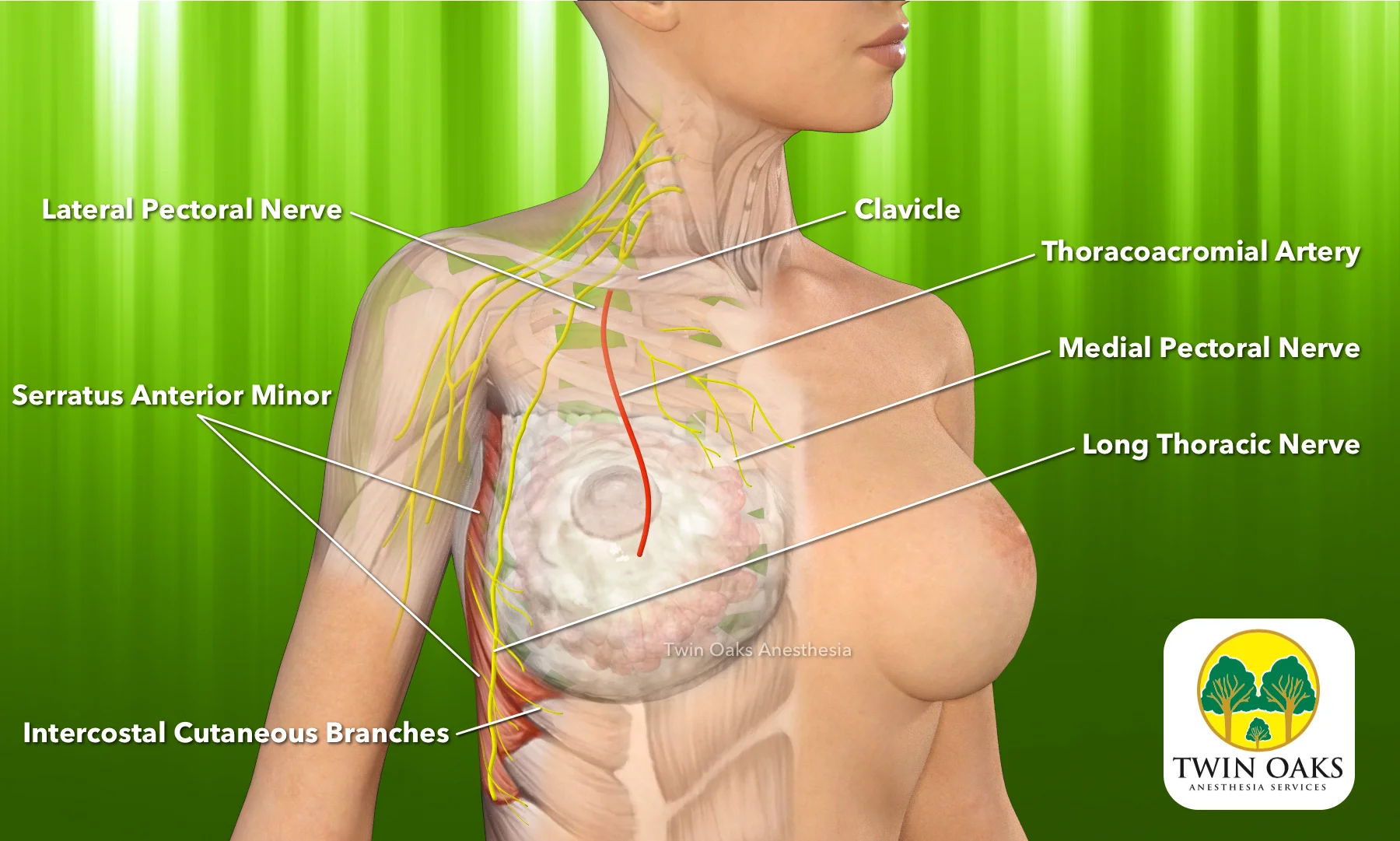 PECs Block.jpg