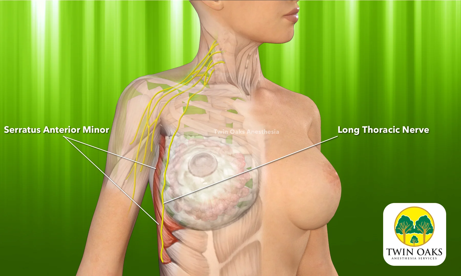 PEC 1.jpg