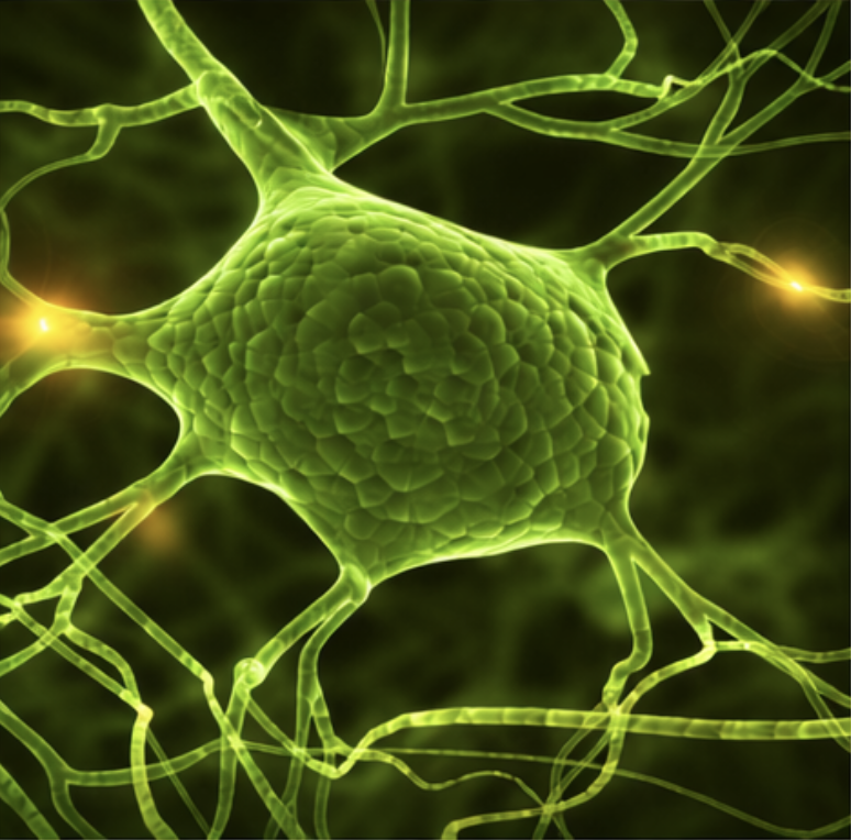 Screenshot 2026-03-18 at 1.56.54 PM.png