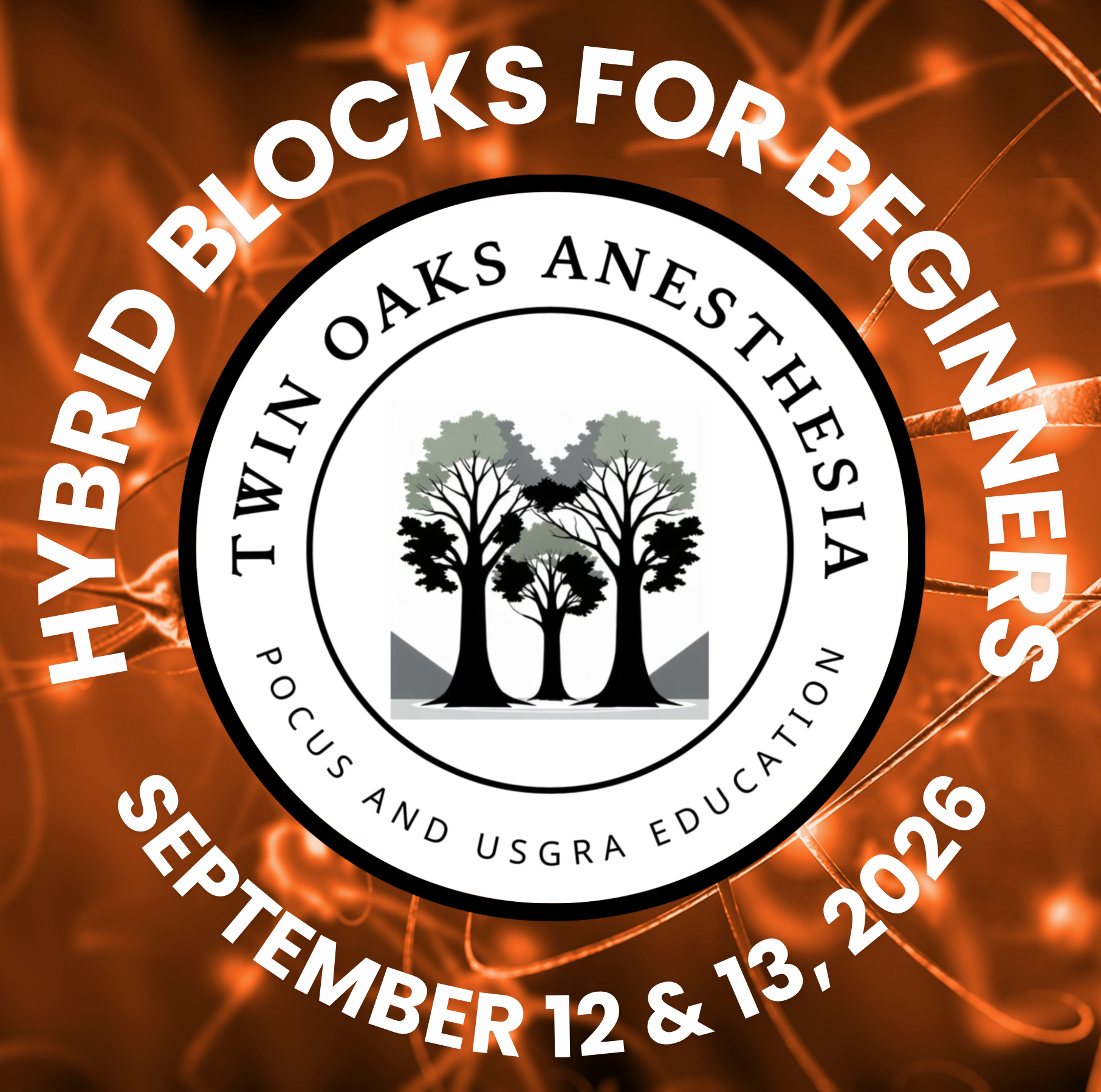 #13 B4B SEPTEMBER.png