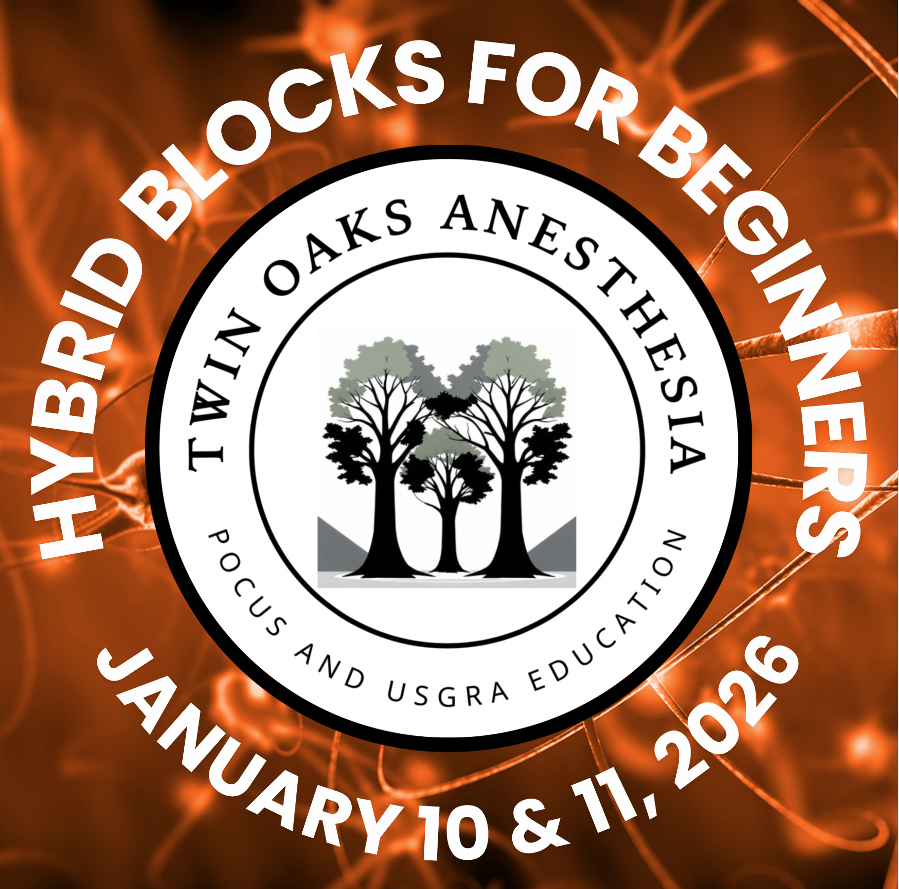 HYBRID BLOCKS FOR BEGINNERS JANUARY 10 & 11, 2026