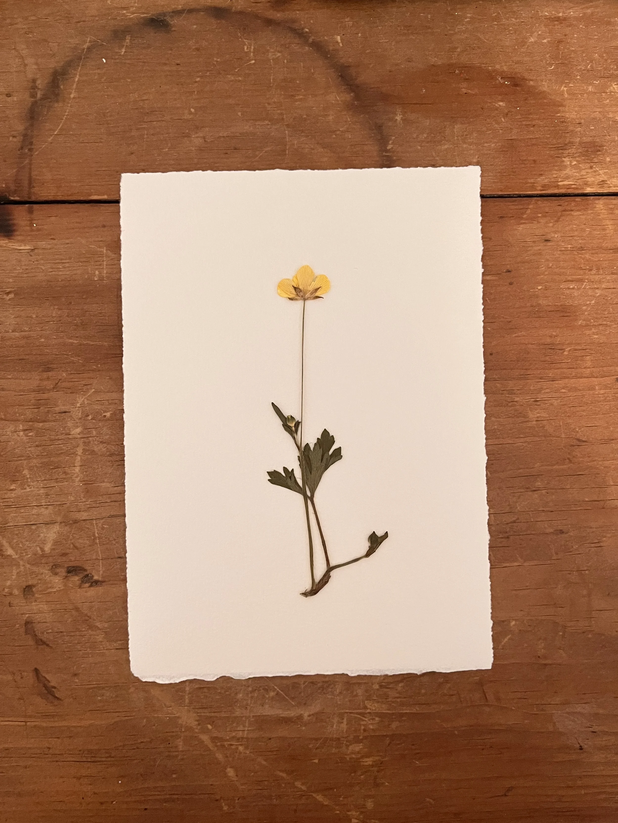 2025-03-08 10.36.13.jpg