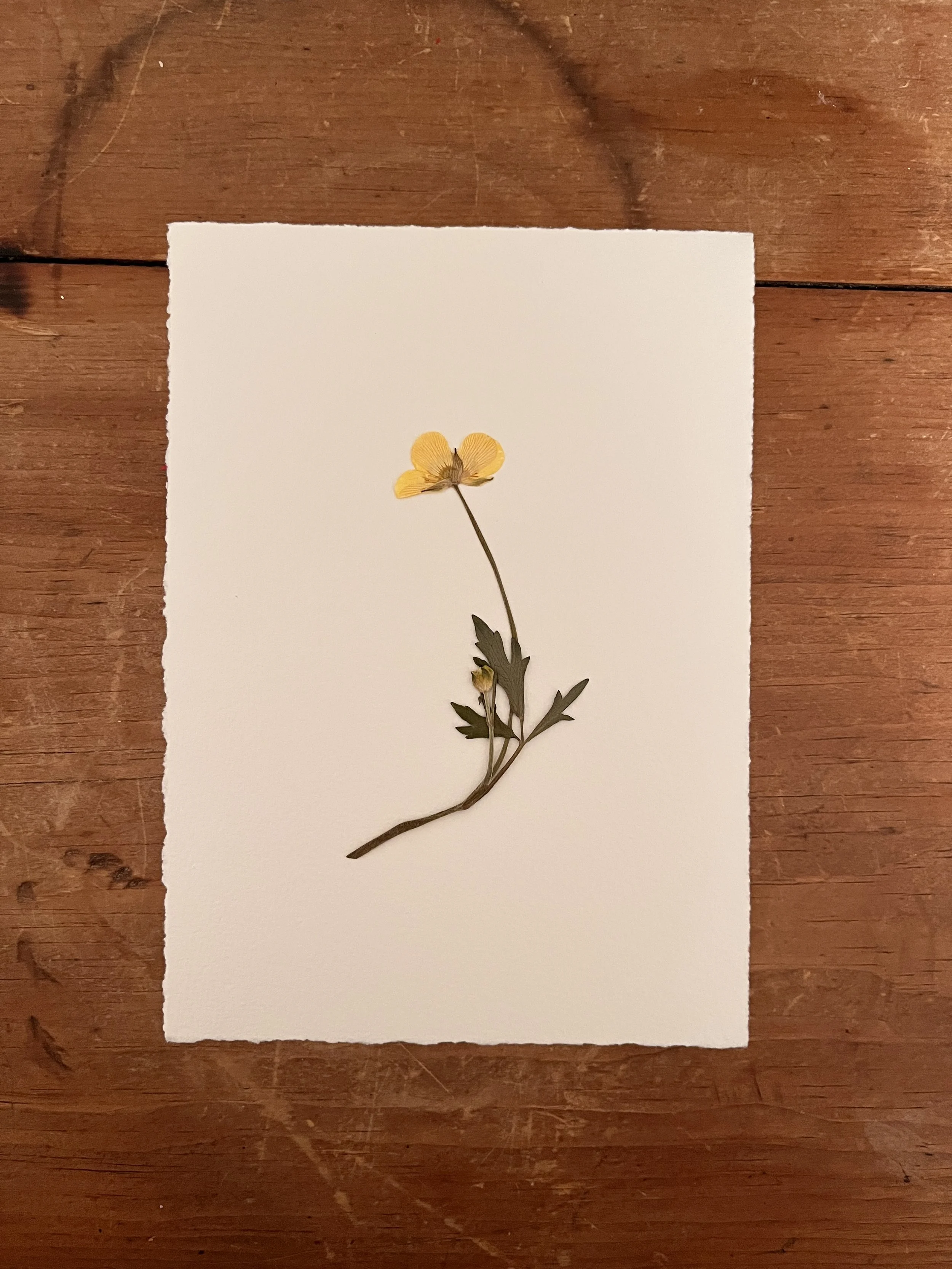 2025-03-13 21.57.06.jpg