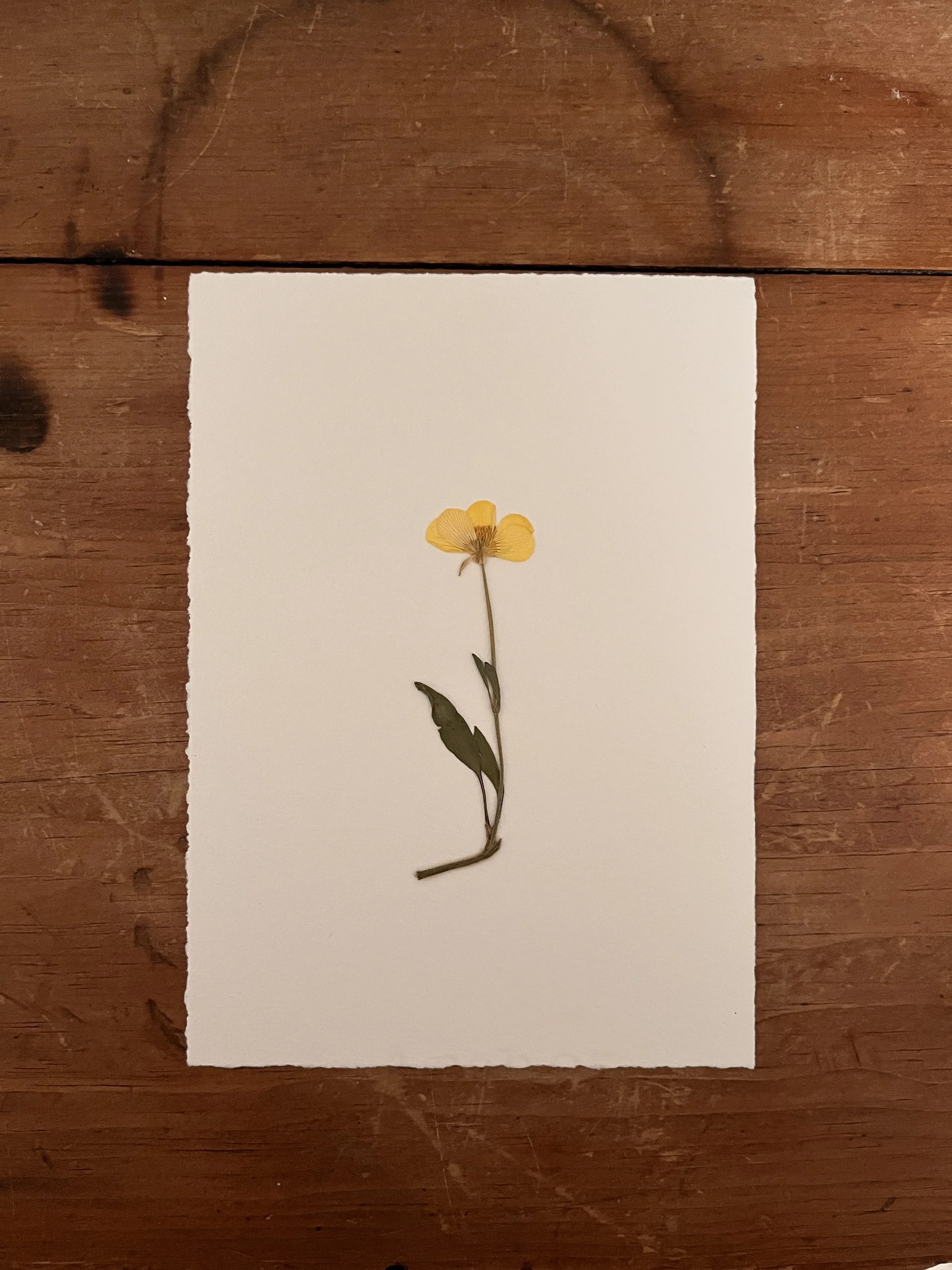 2025-03-21 23.57.40.jpg