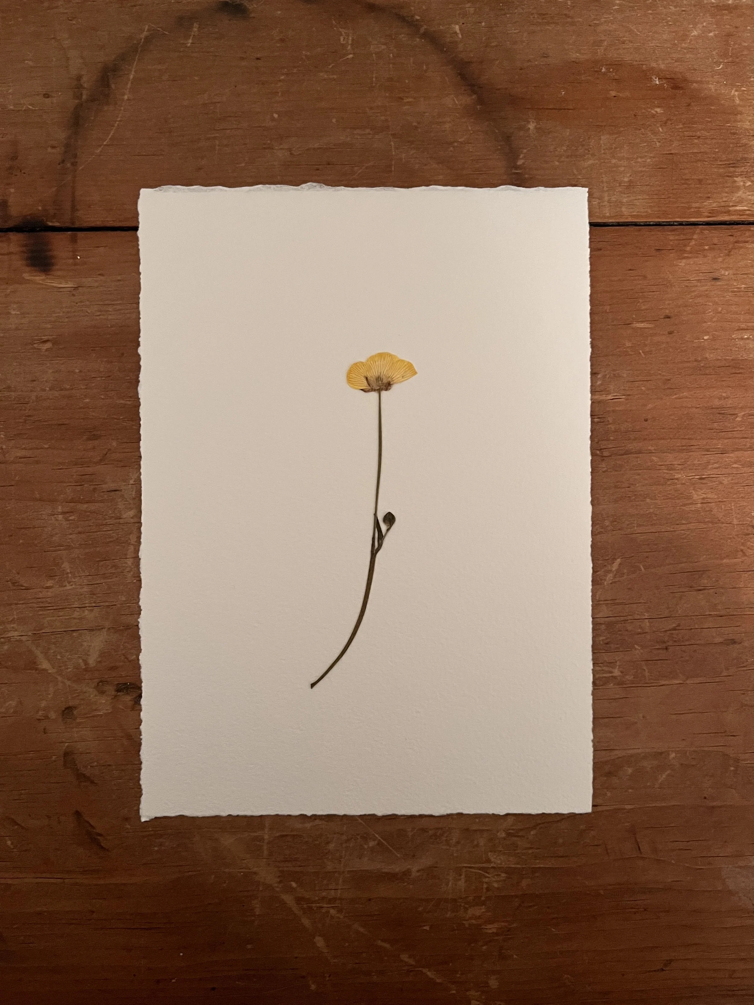 2025-03-17 21.29.06.jpg