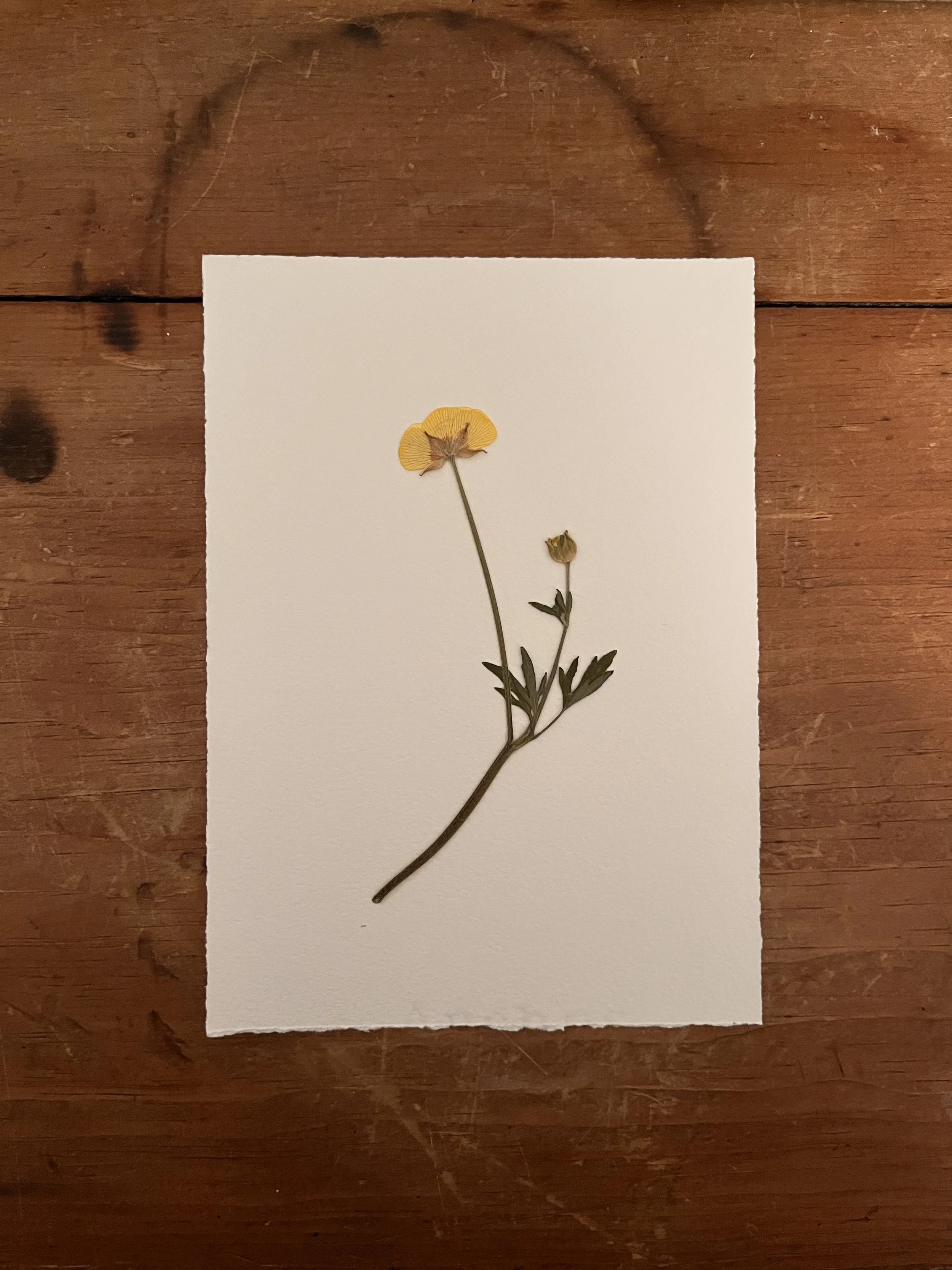 2025-03-23 17.43.05.jpg