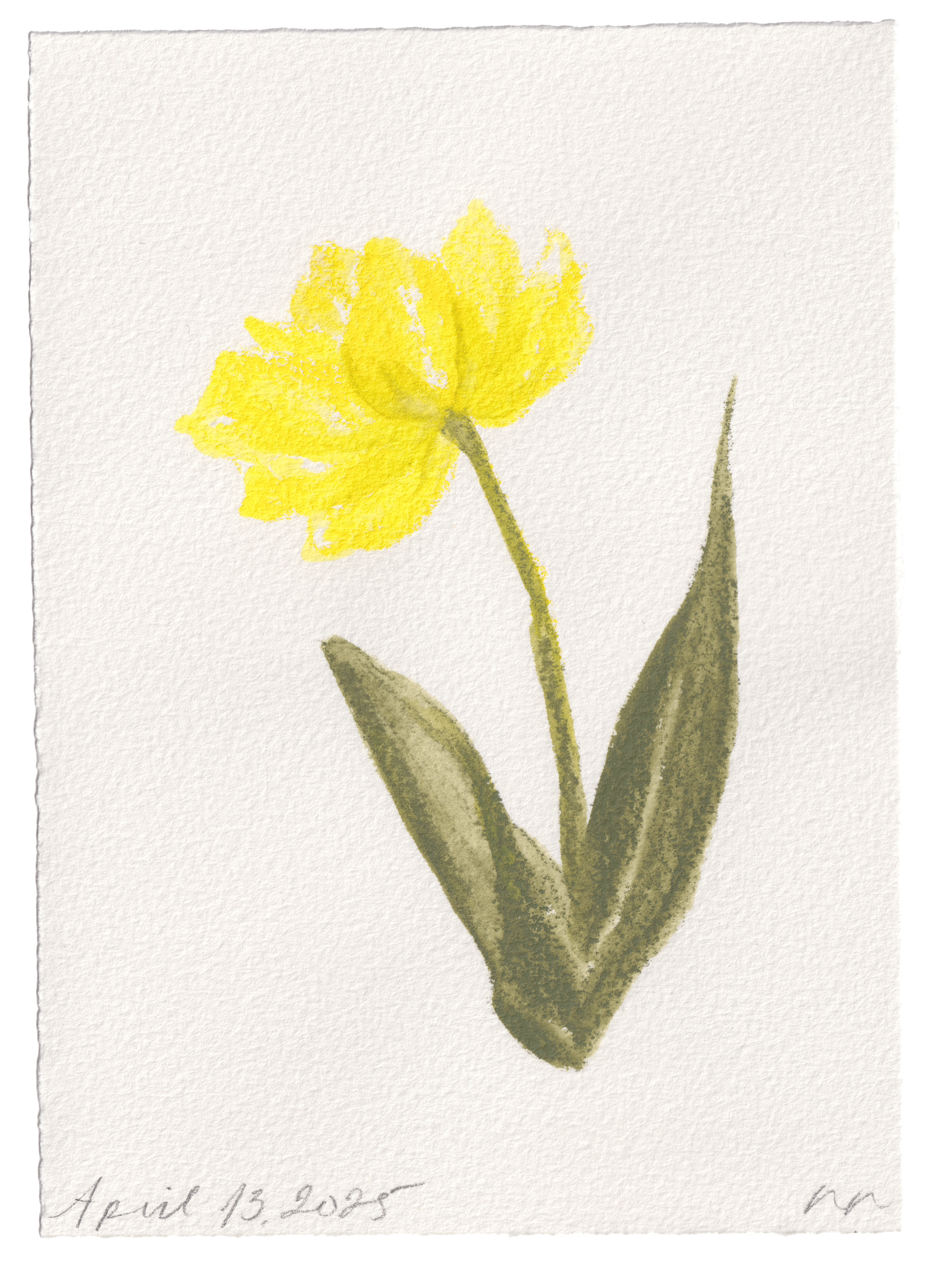 Daily Fleurs - April 13, 2025