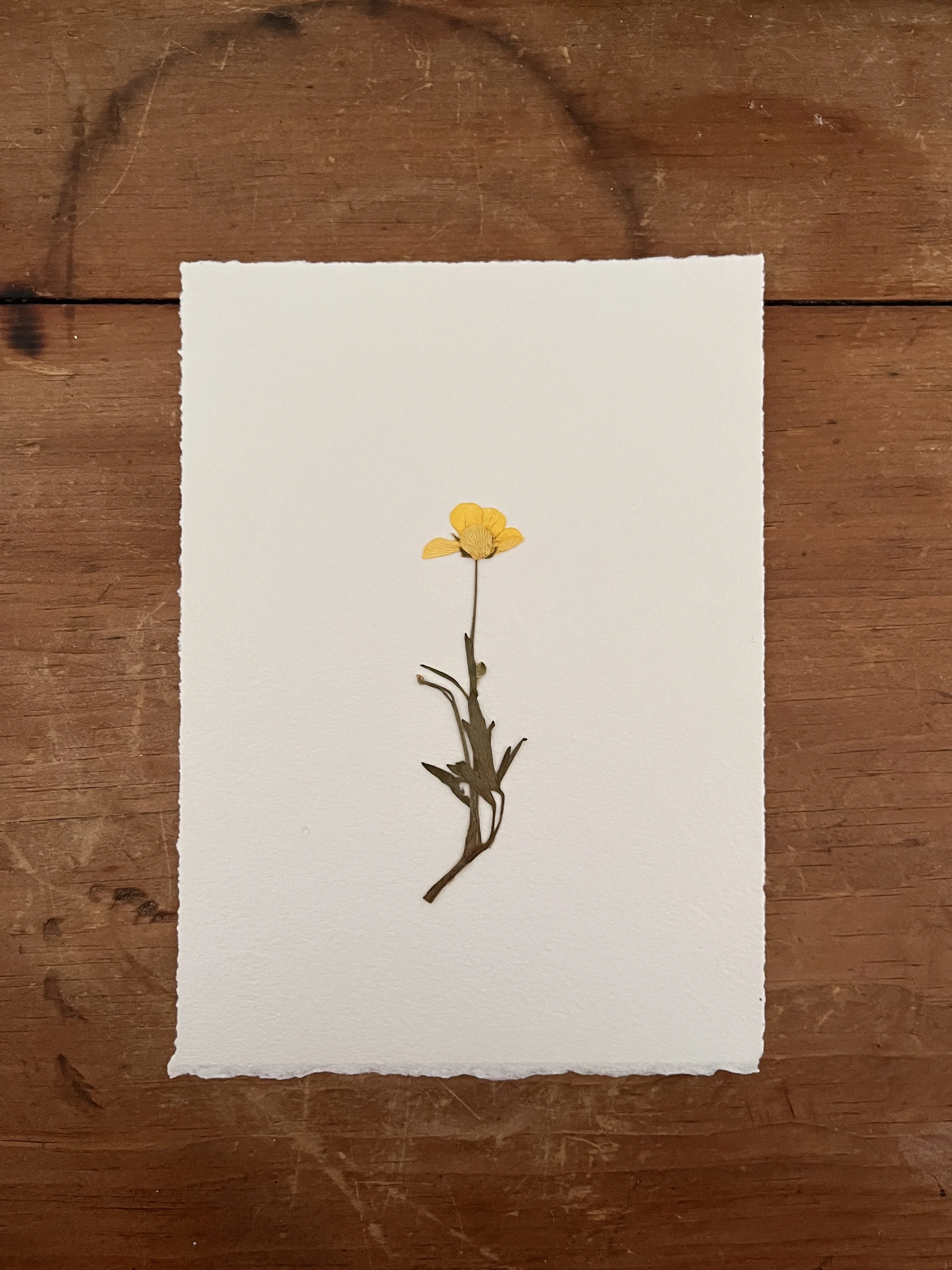 2025-03-30 10.04.22.jpg